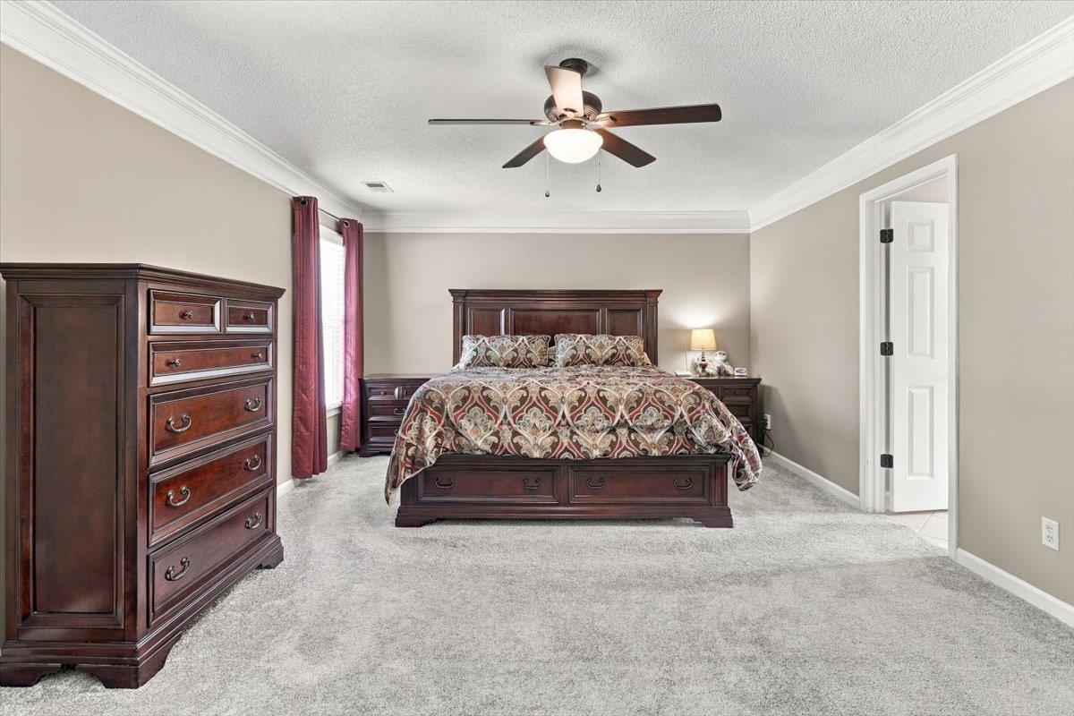 3902 Lighthouse Ln Property Photo 19