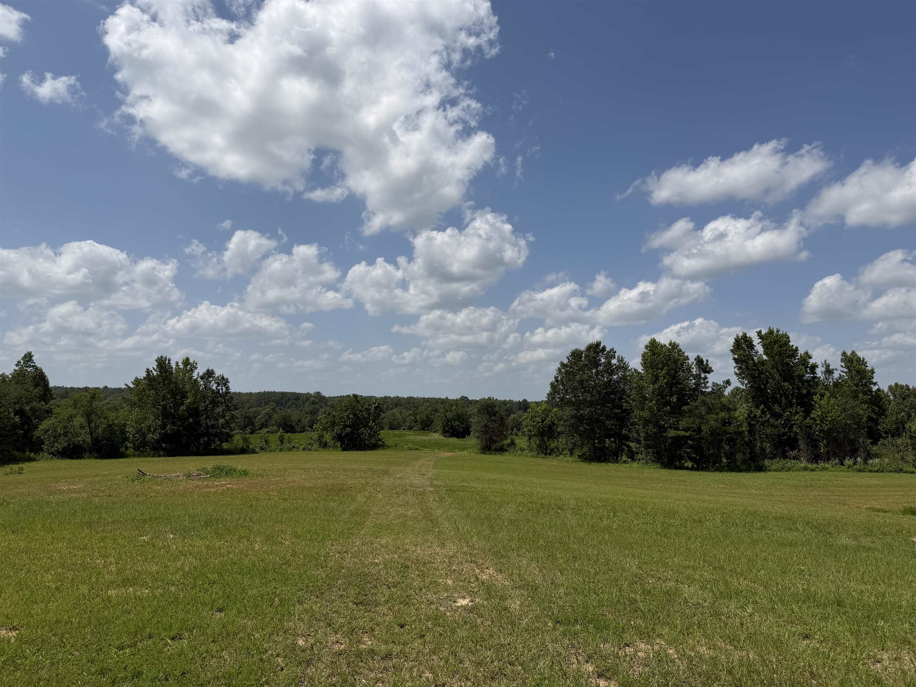 7080 Beauty Hill Rd Property Photo 3