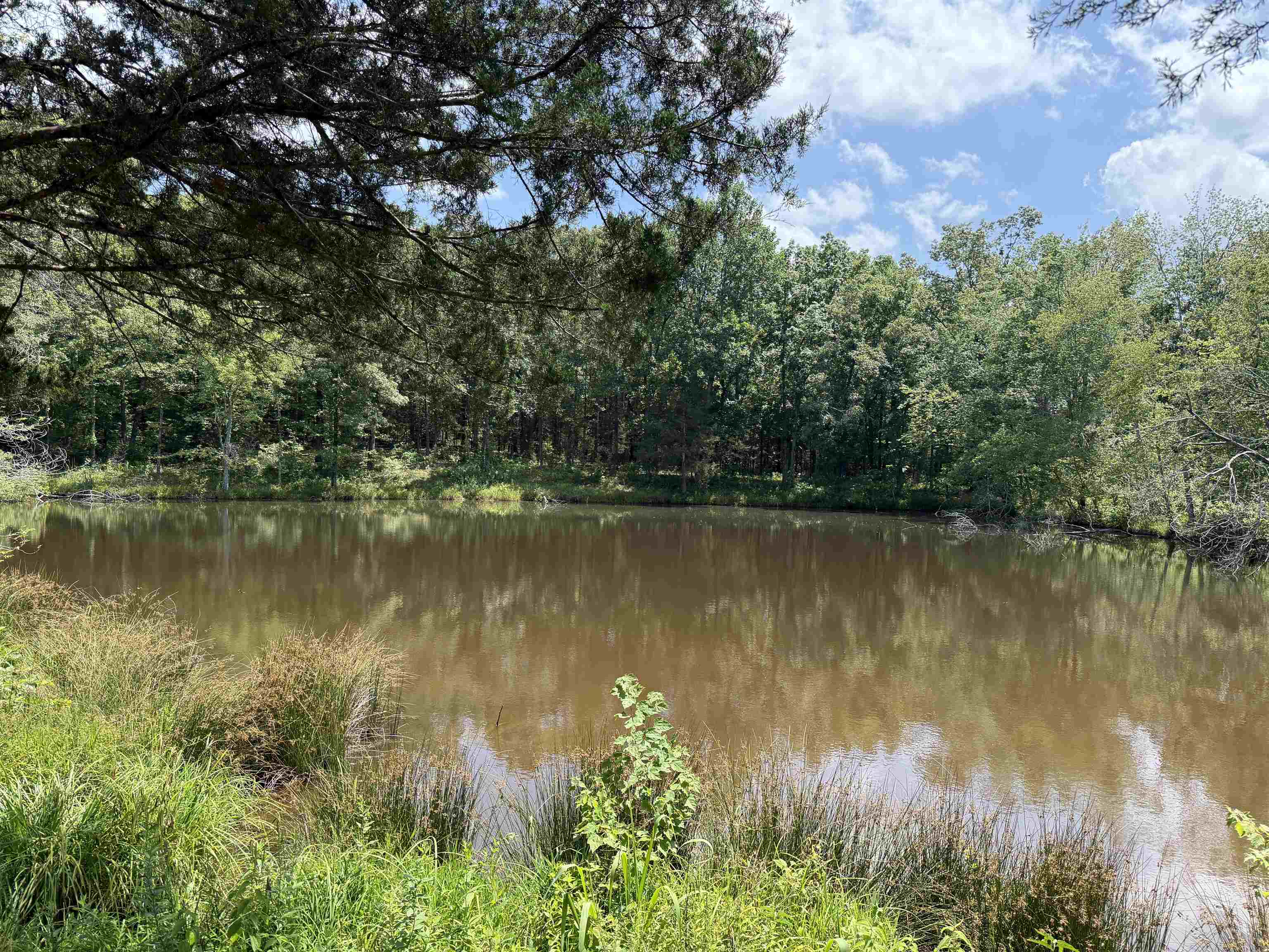 7080 Beauty Hill Rd Property Photo 5