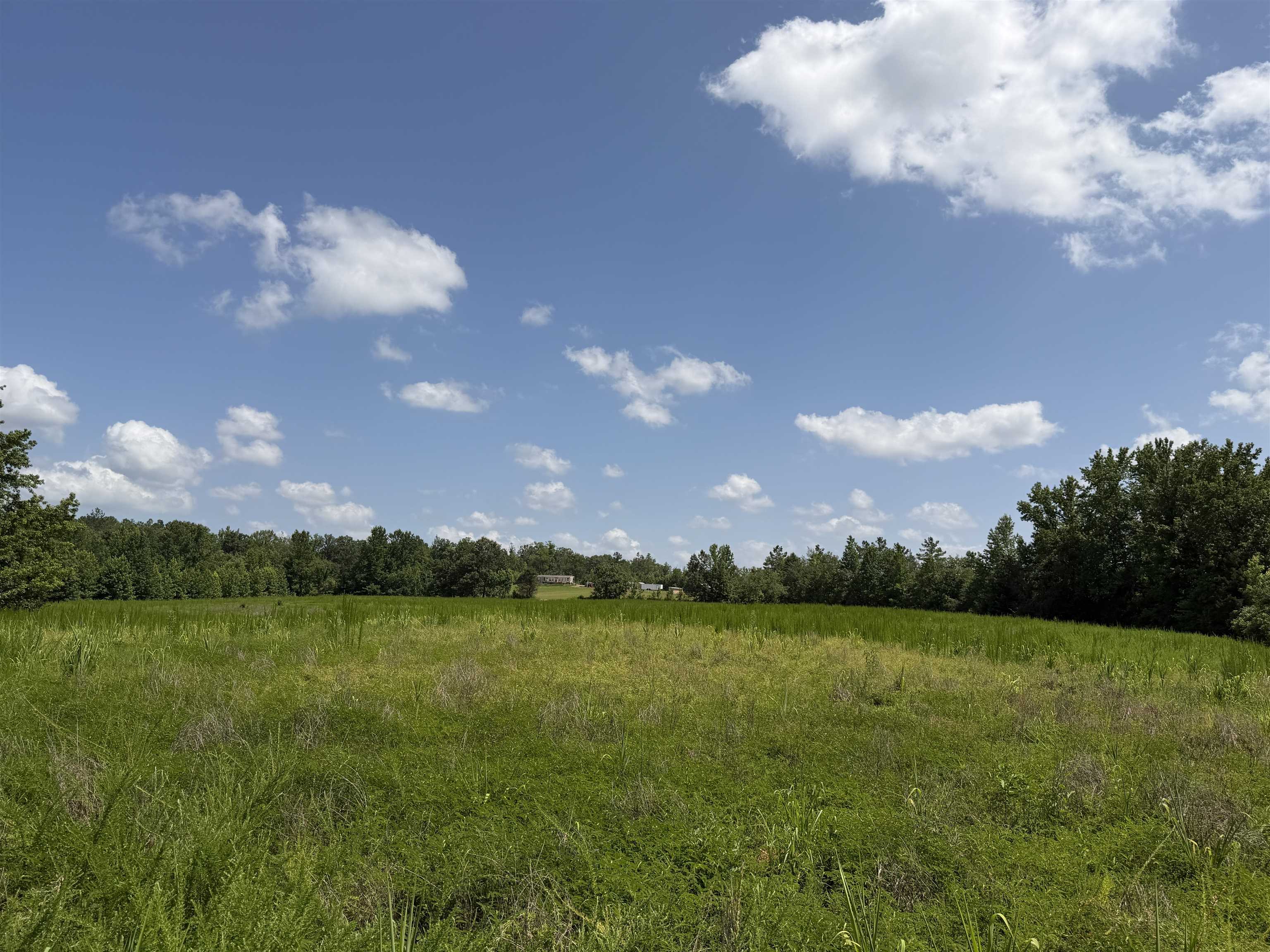 7080 Beauty Hill Rd Property Photo 10