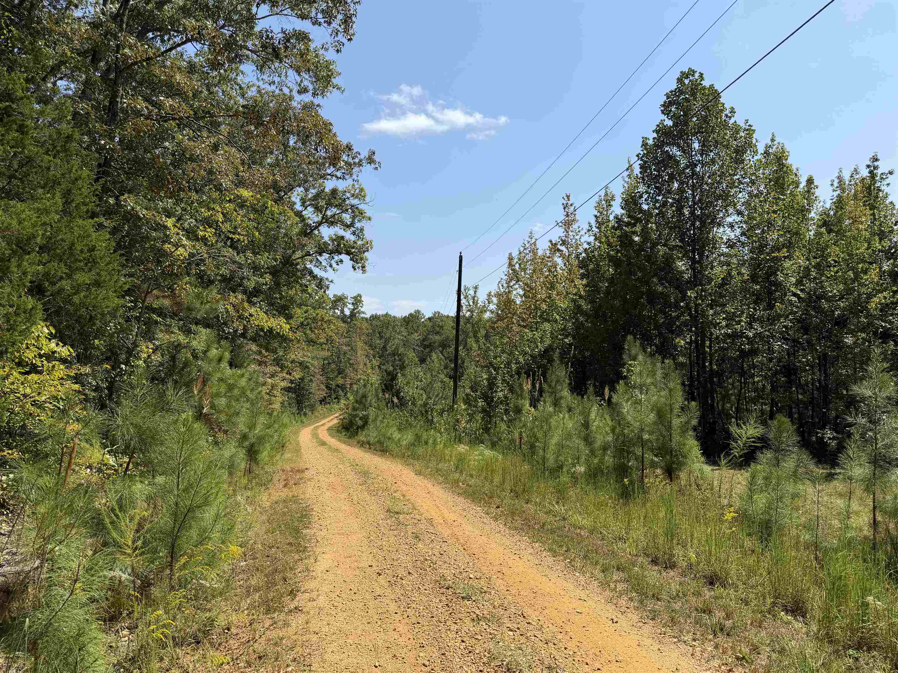 7080 Beauty Hill Rd Property Photo 13