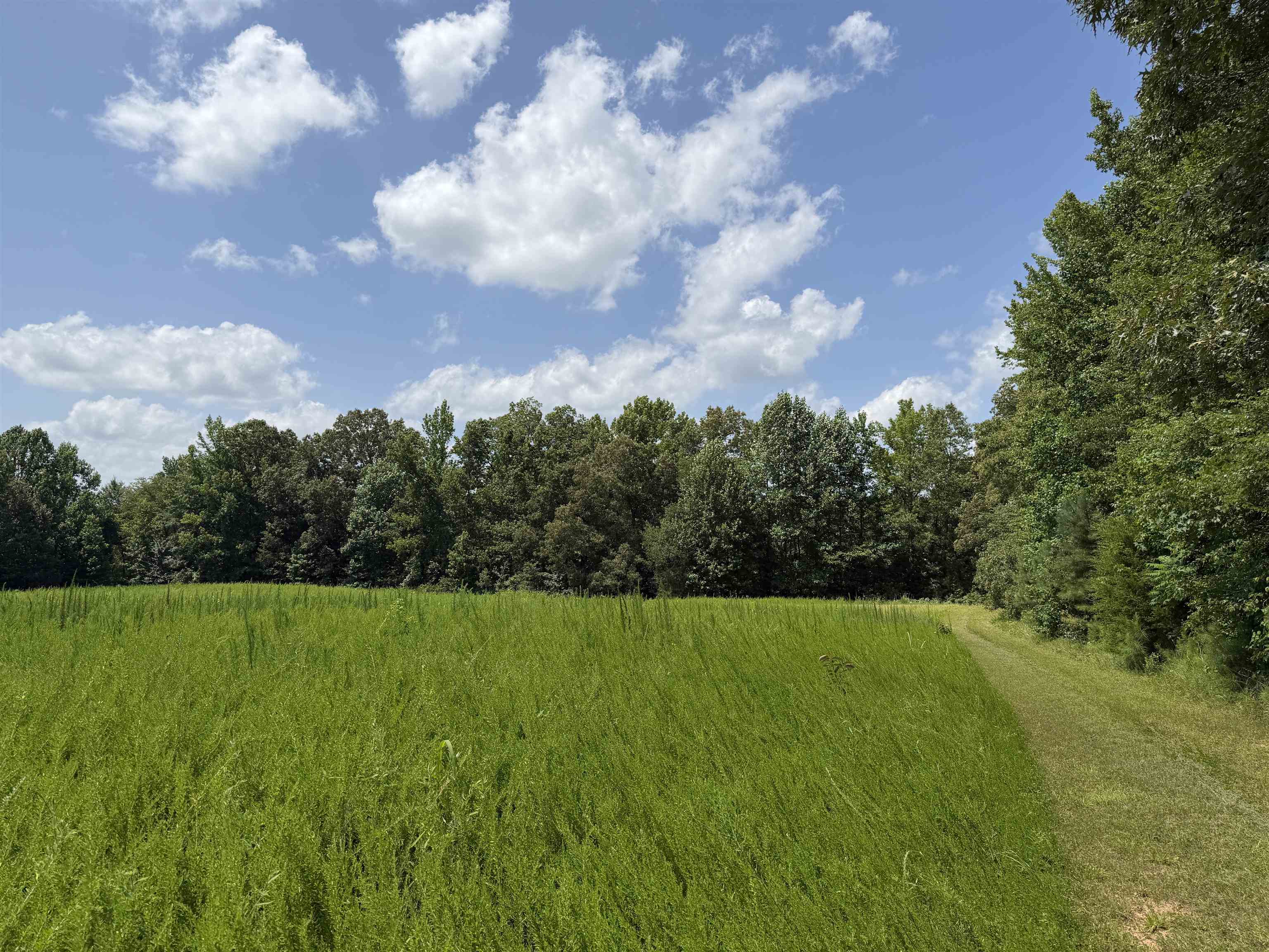 7080 Beauty Hill Rd Property Photo 24
