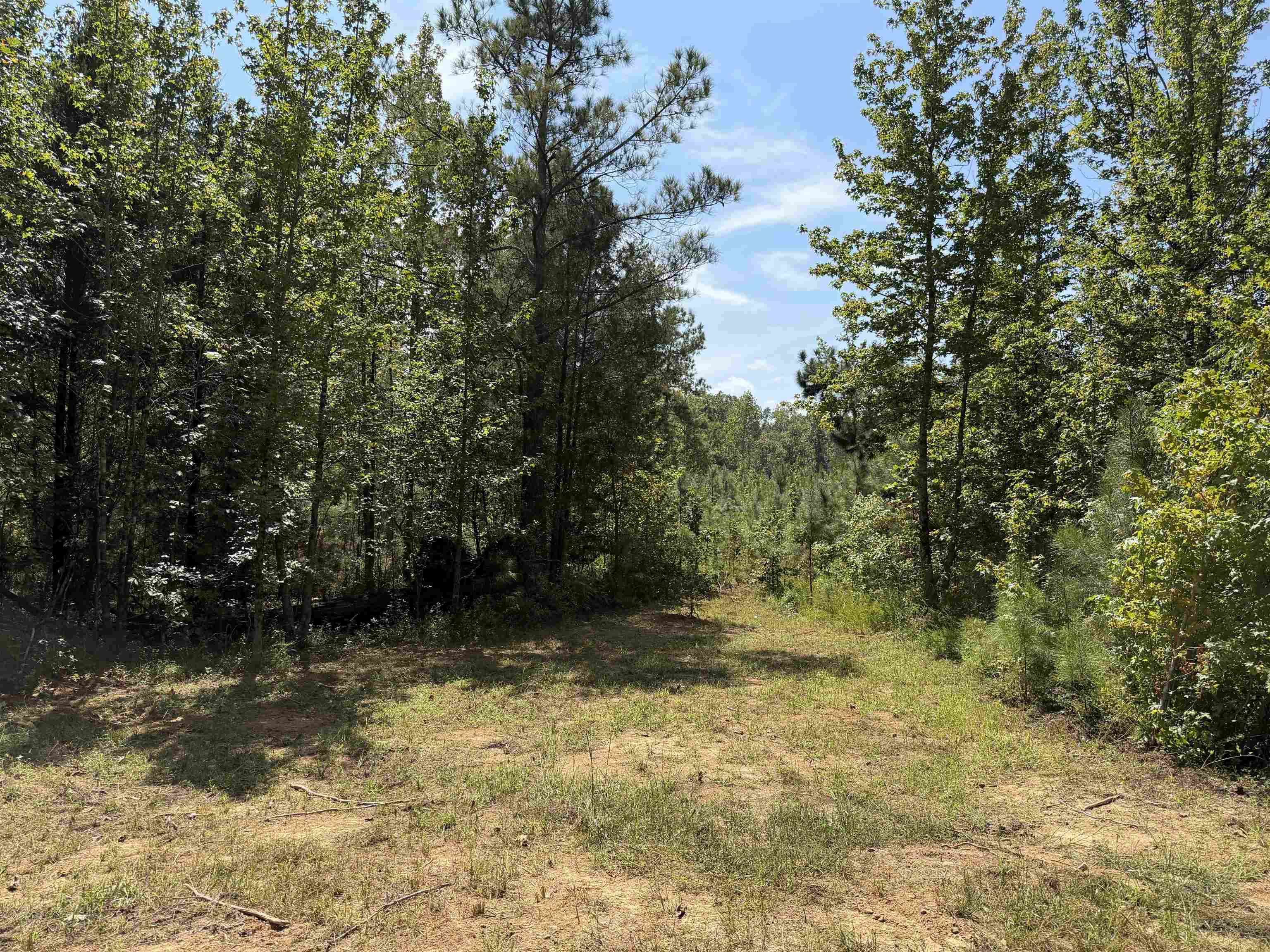 7080 Beauty Hill Rd Property Photo 29