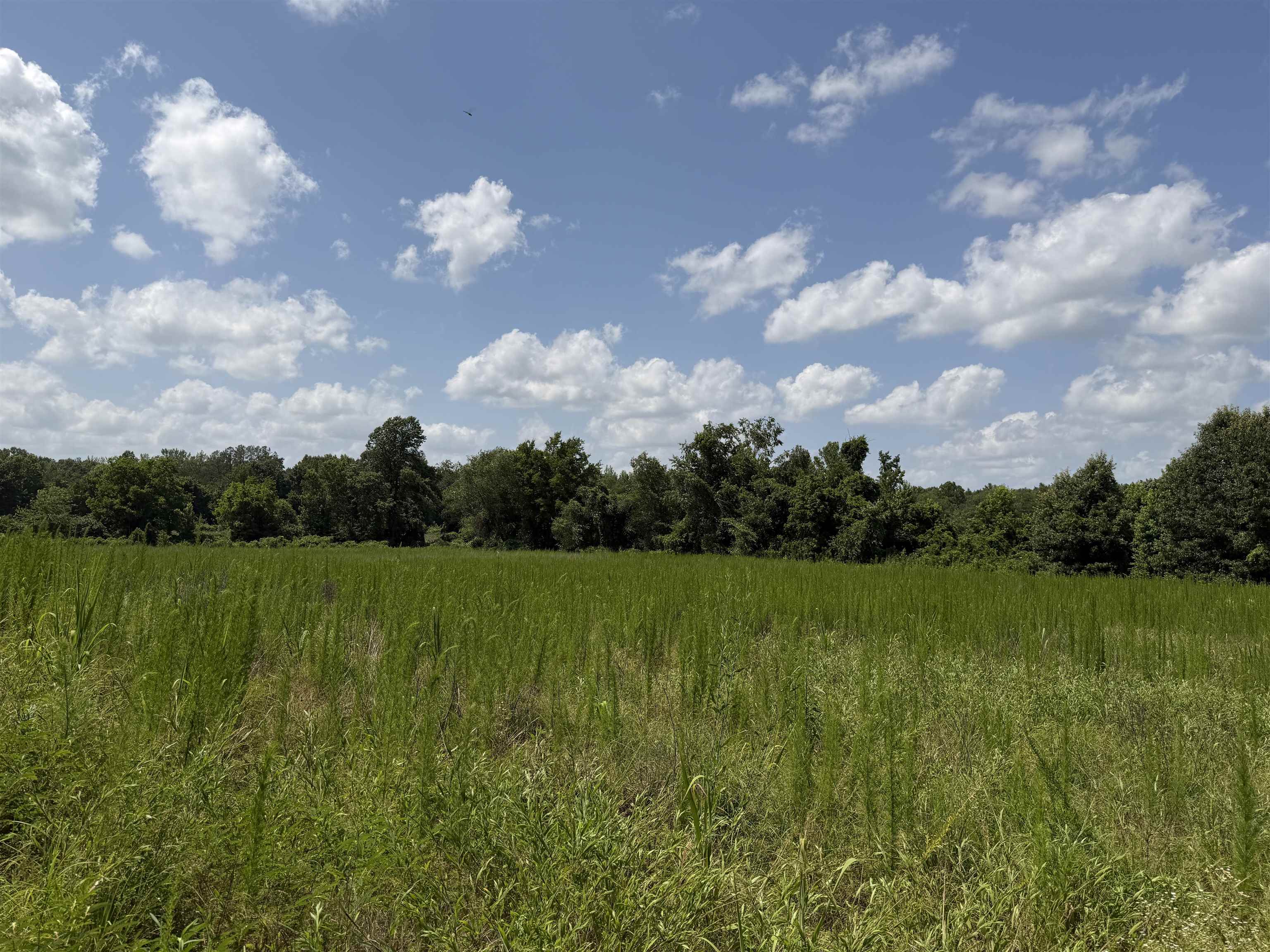 7080 Beauty Hill Rd Property Photo 30
