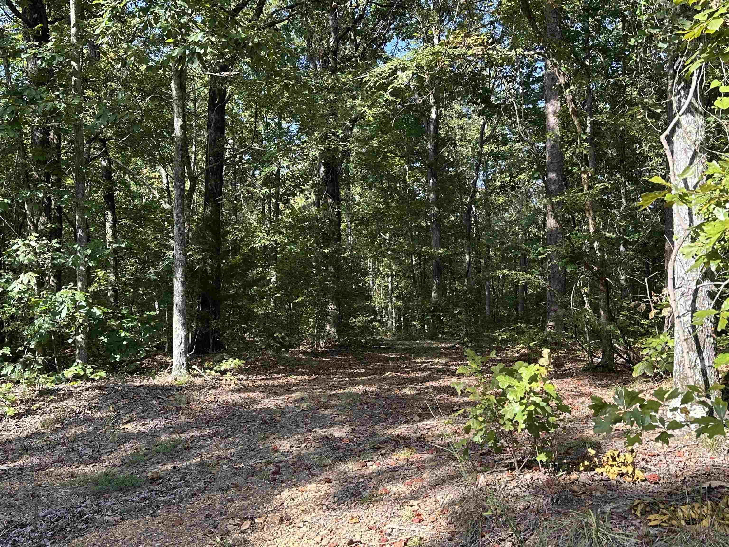 751 Paradise Dr Property Photo 2