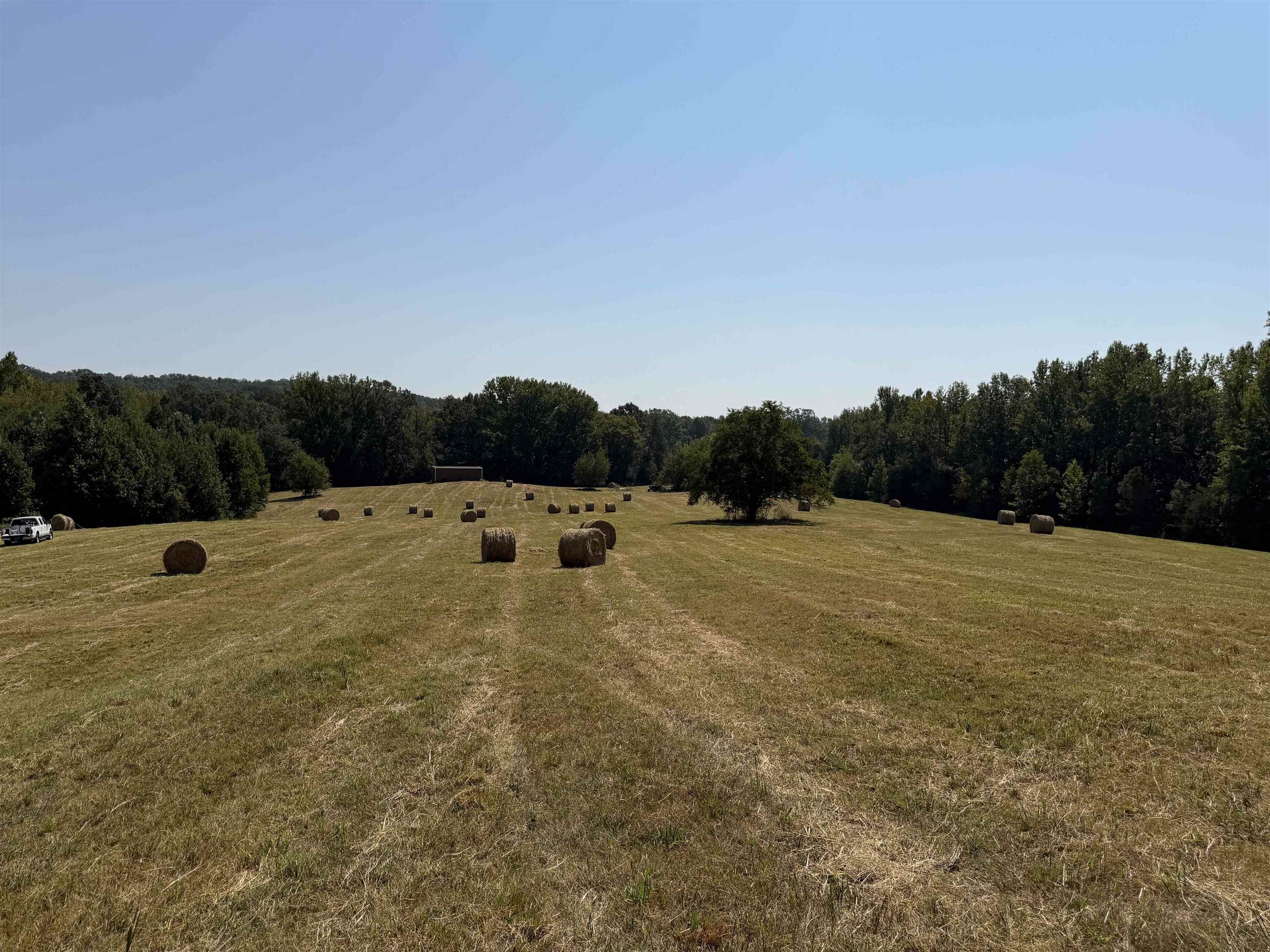 400 421 Hwy Property Photo 3