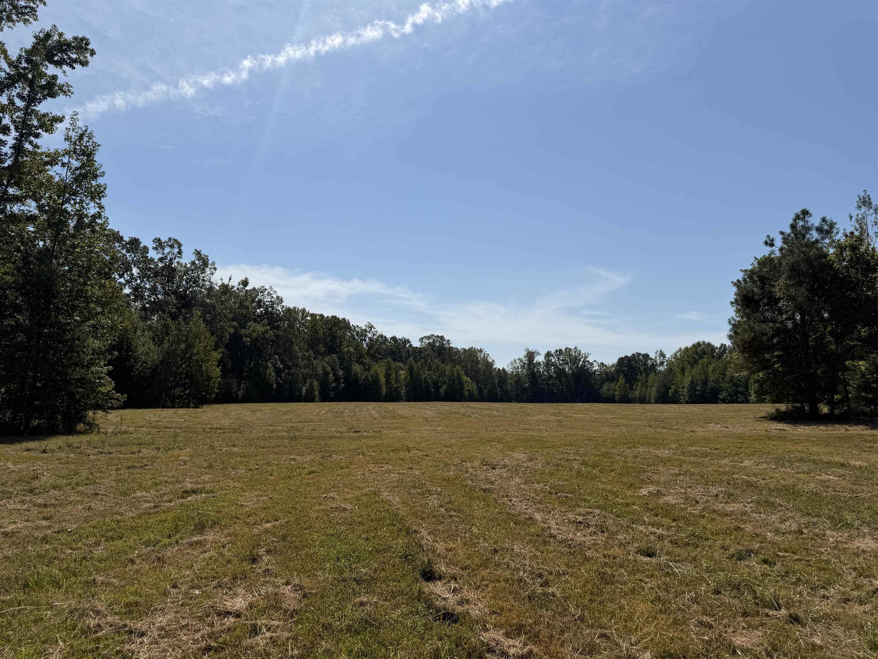 400 421 Hwy Property Photo 5