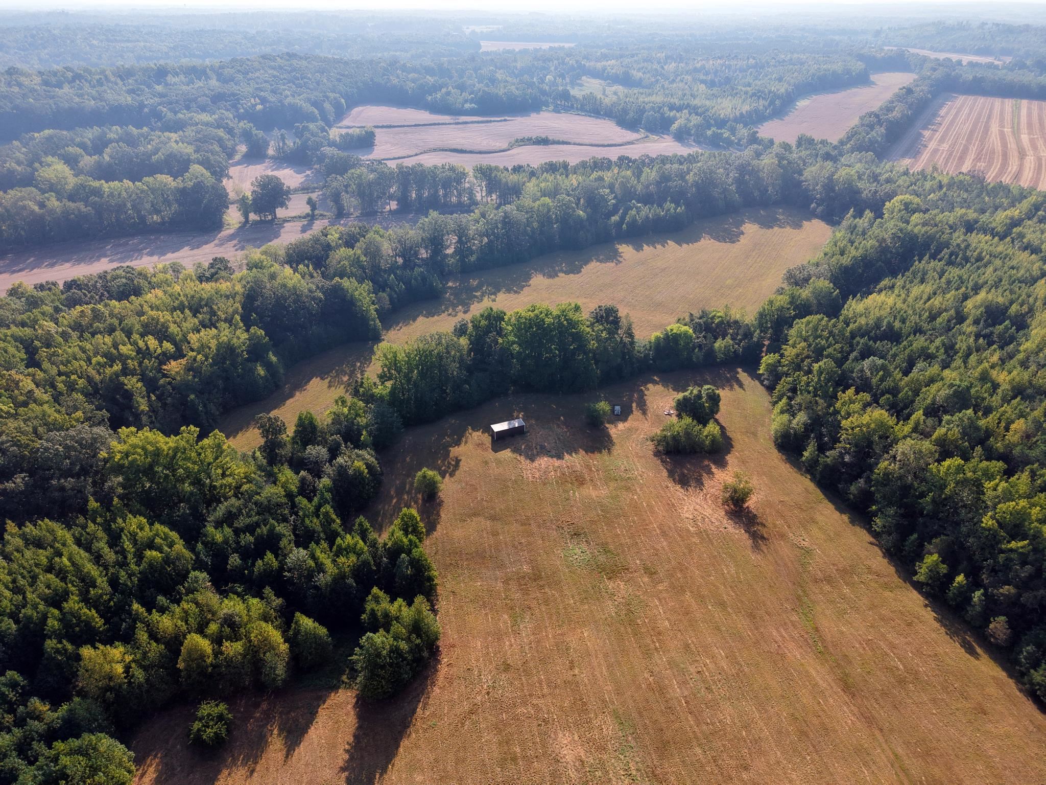 400 421 Hwy Property Photo 6