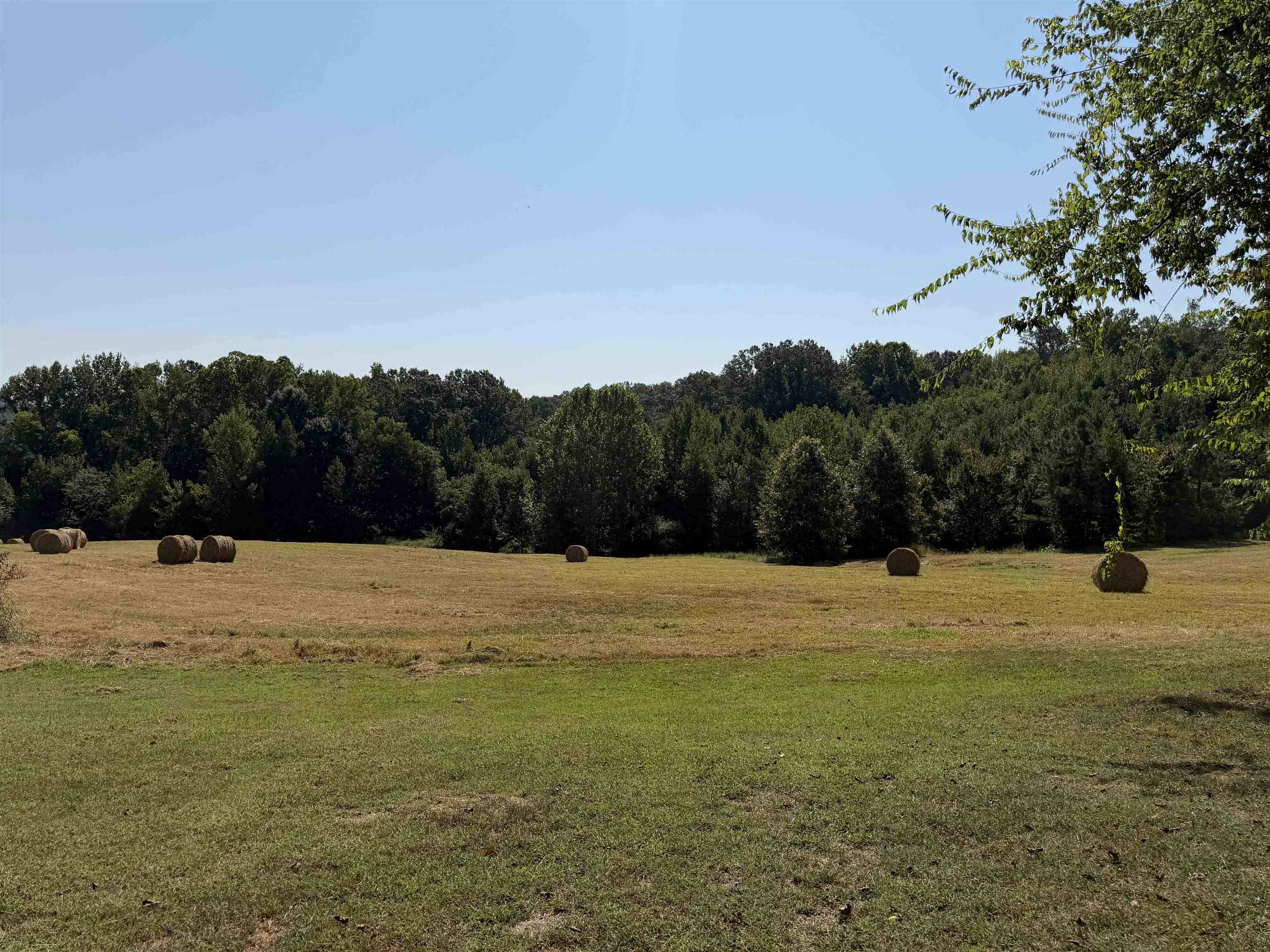 400 421 Hwy Property Photo 7