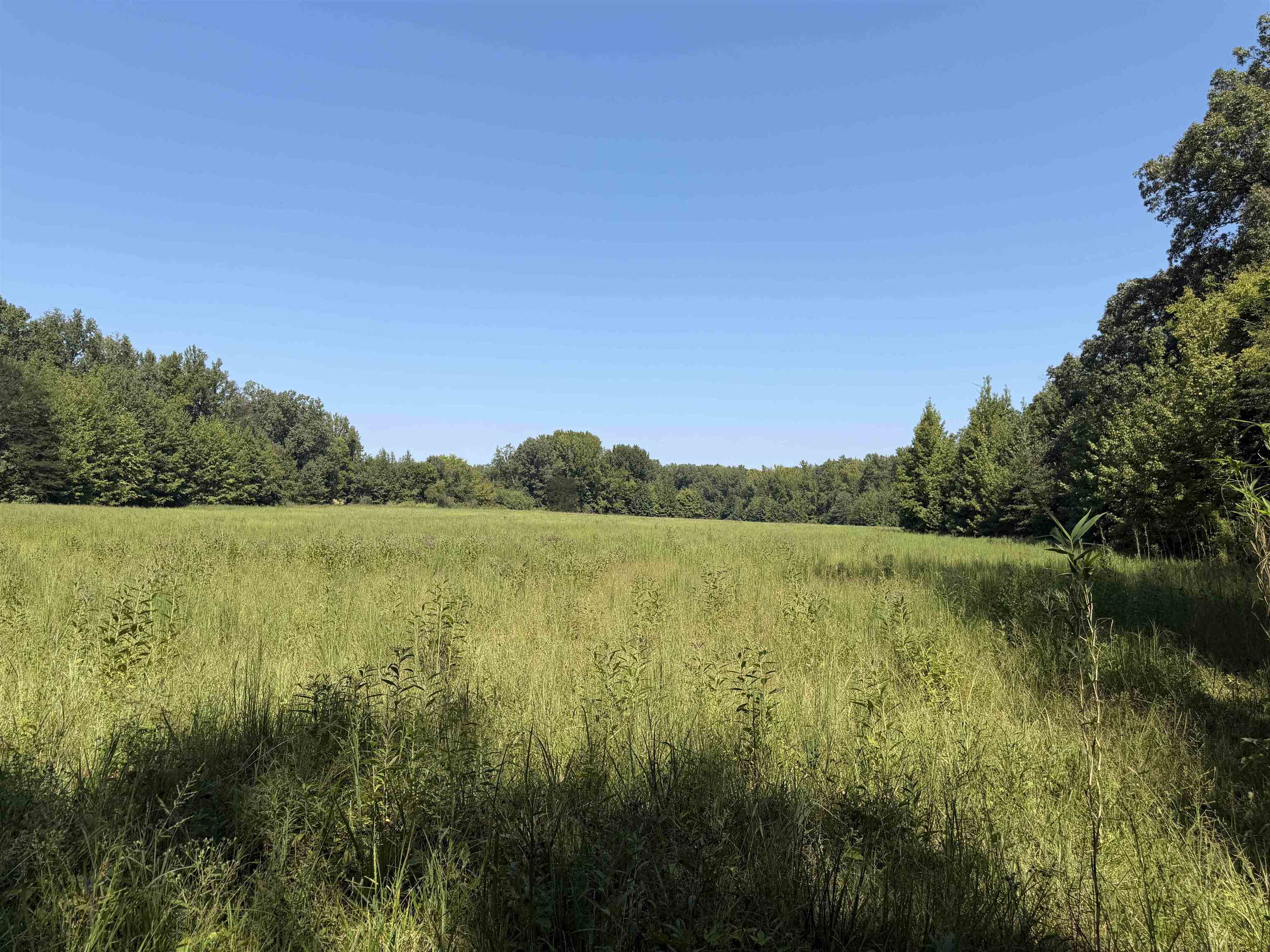 400 421 Hwy Property Photo 9