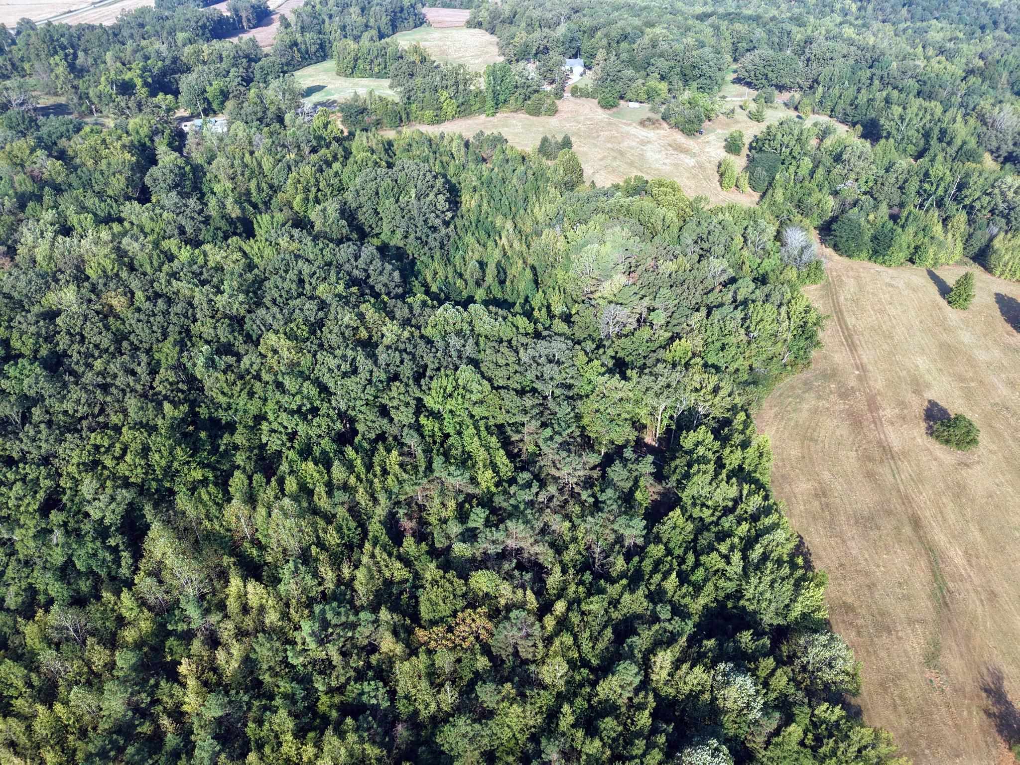 400 421 Hwy Property Photo 11