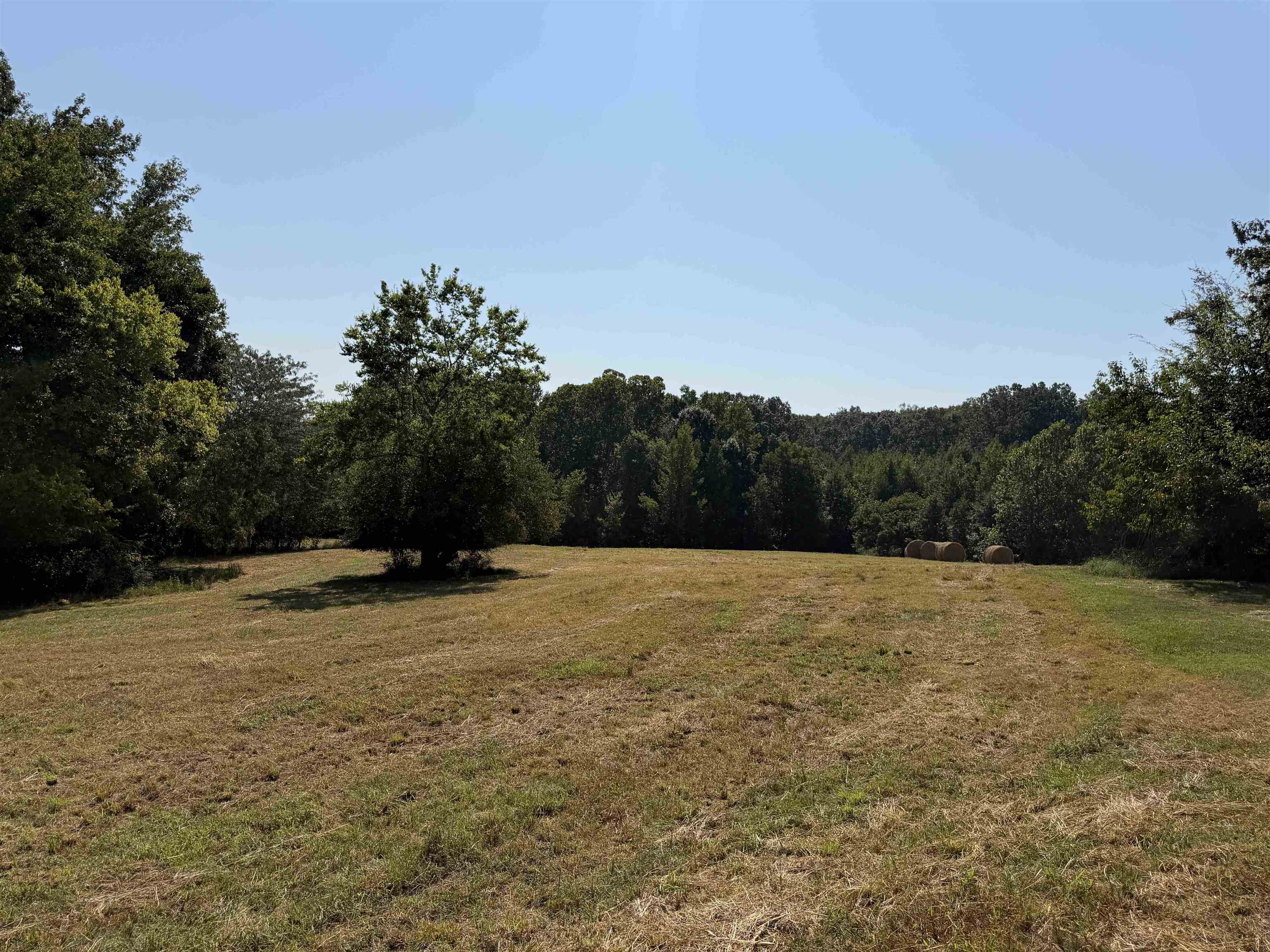 400 421 Hwy Property Photo 20