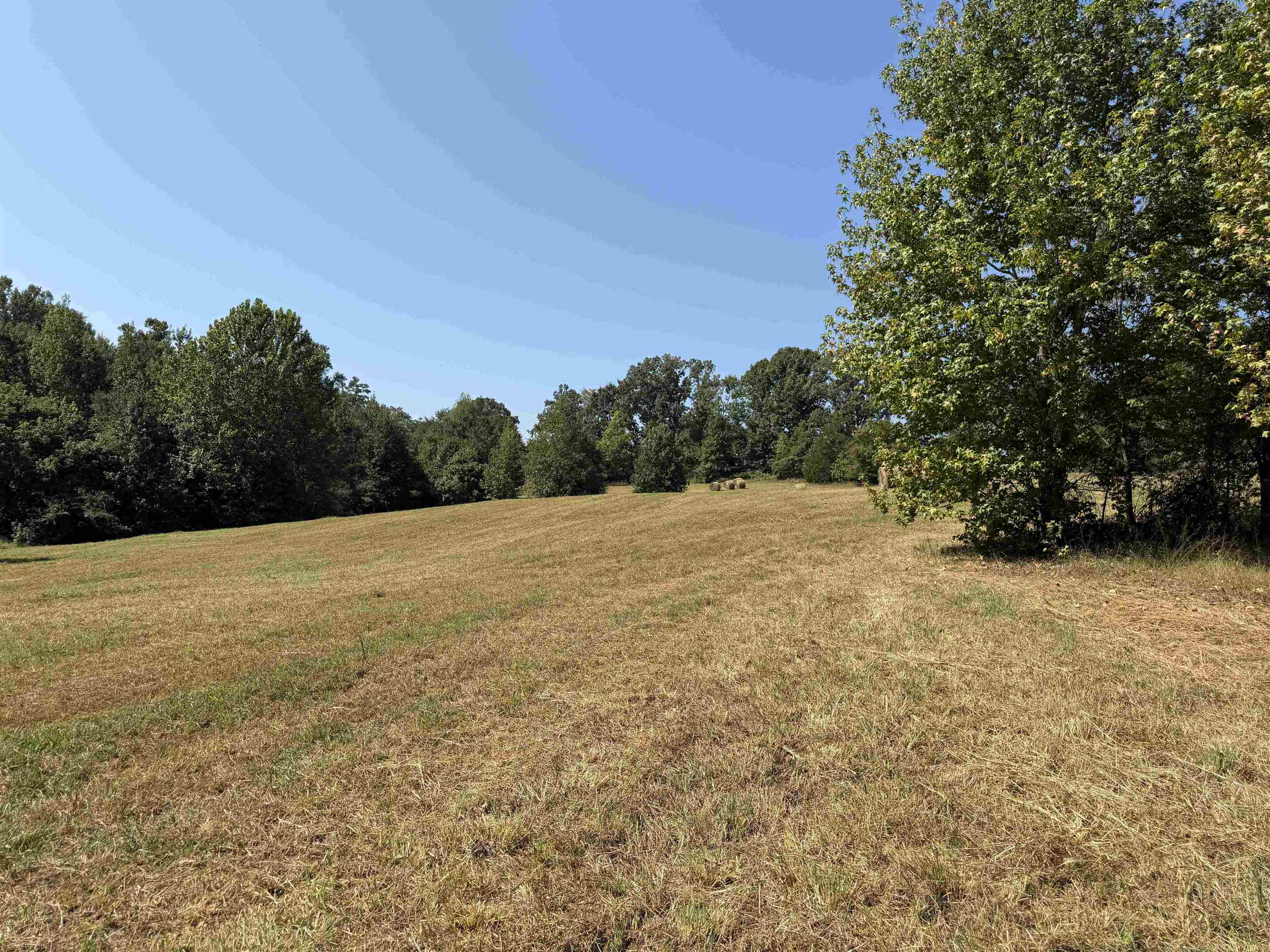 400 421 Hwy Property Photo 21