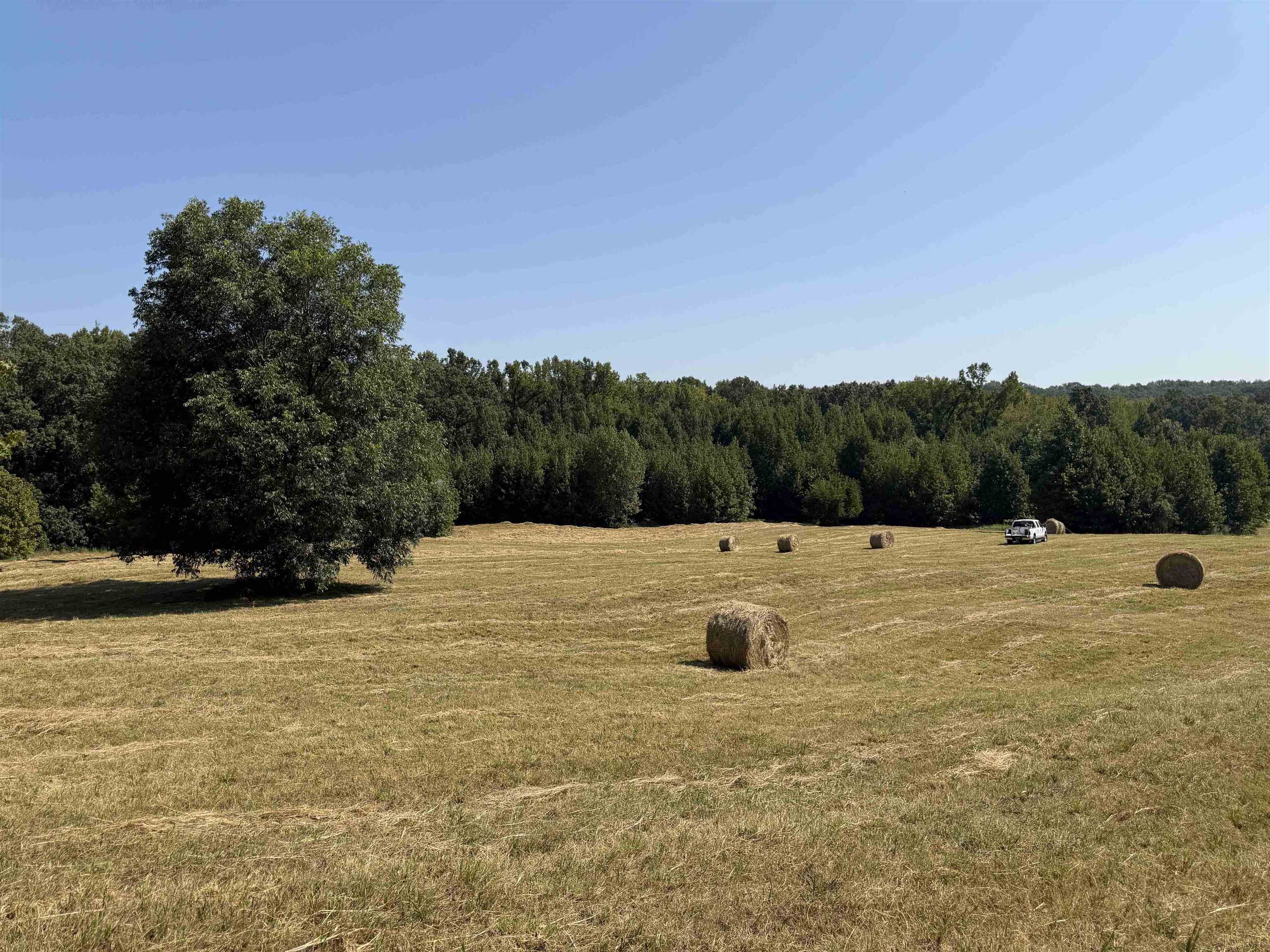 400 421 Hwy Property Photo 22