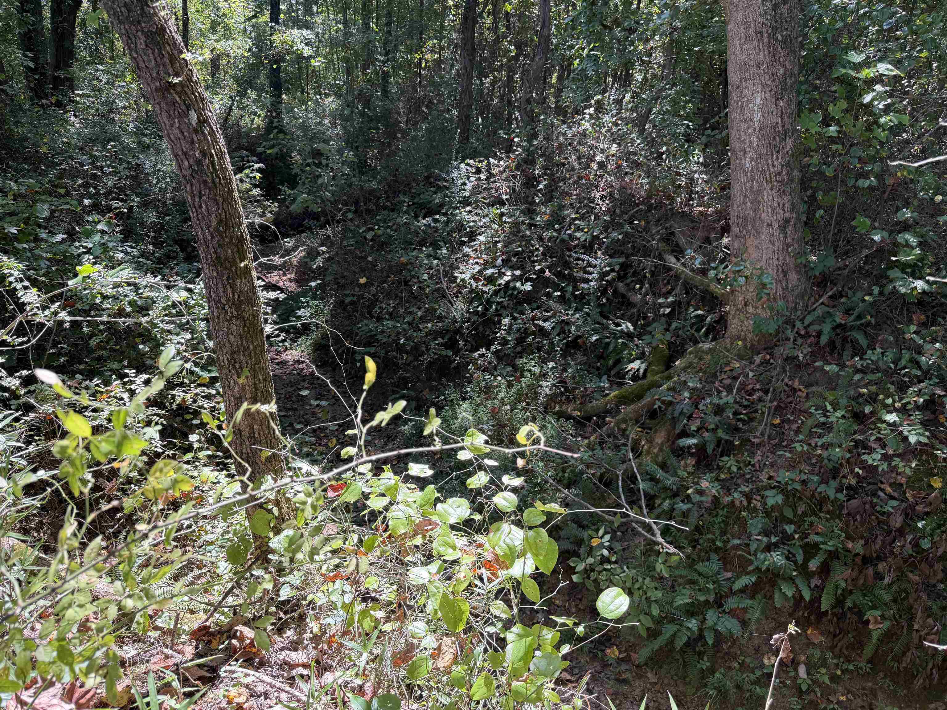 400 421 Hwy Property Photo 23