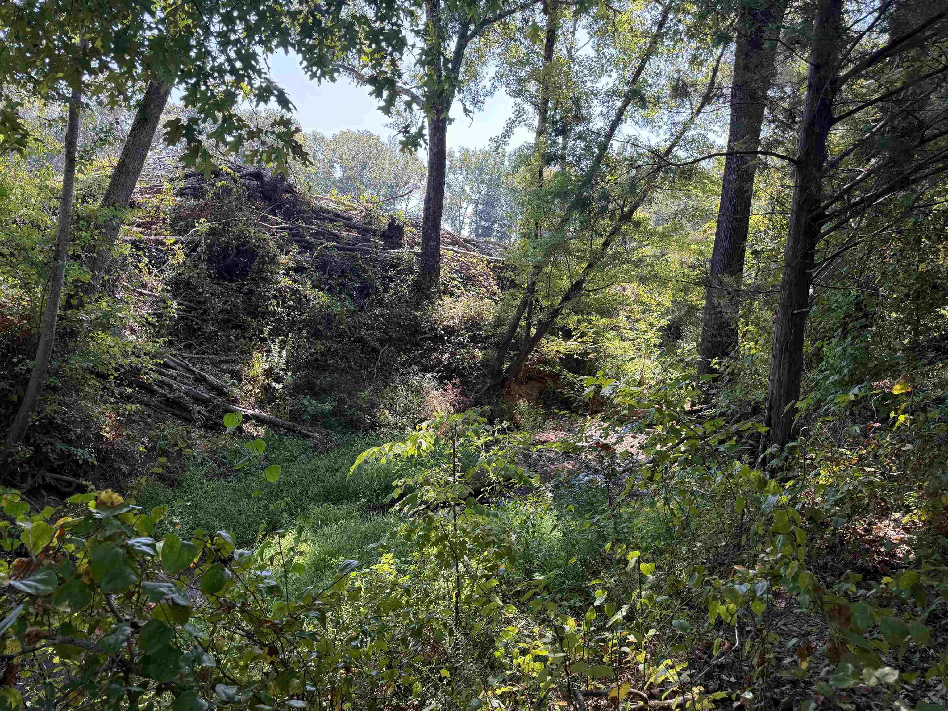 400 421 Hwy Property Photo 25