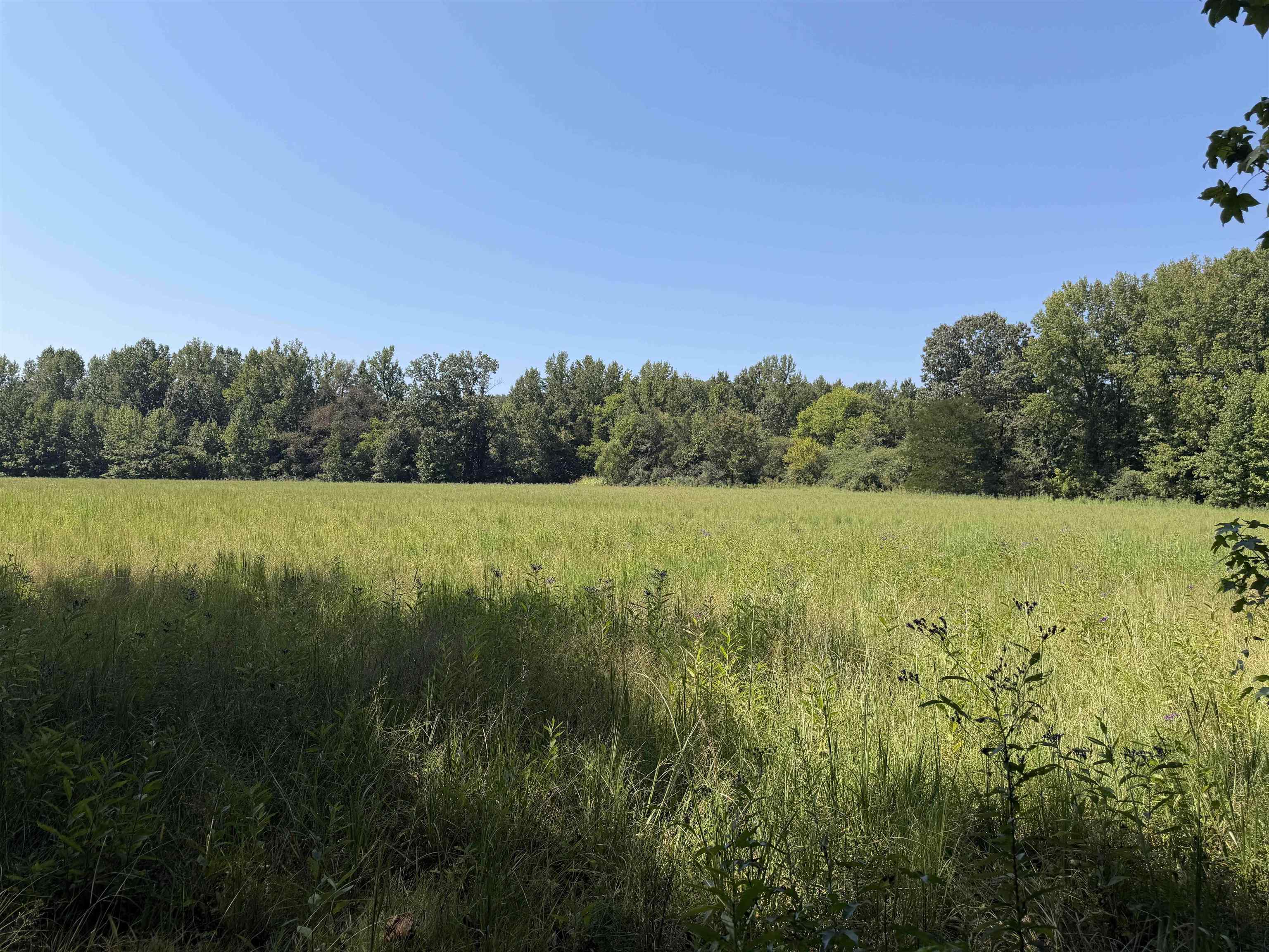 400 421 Hwy Property Photo 26