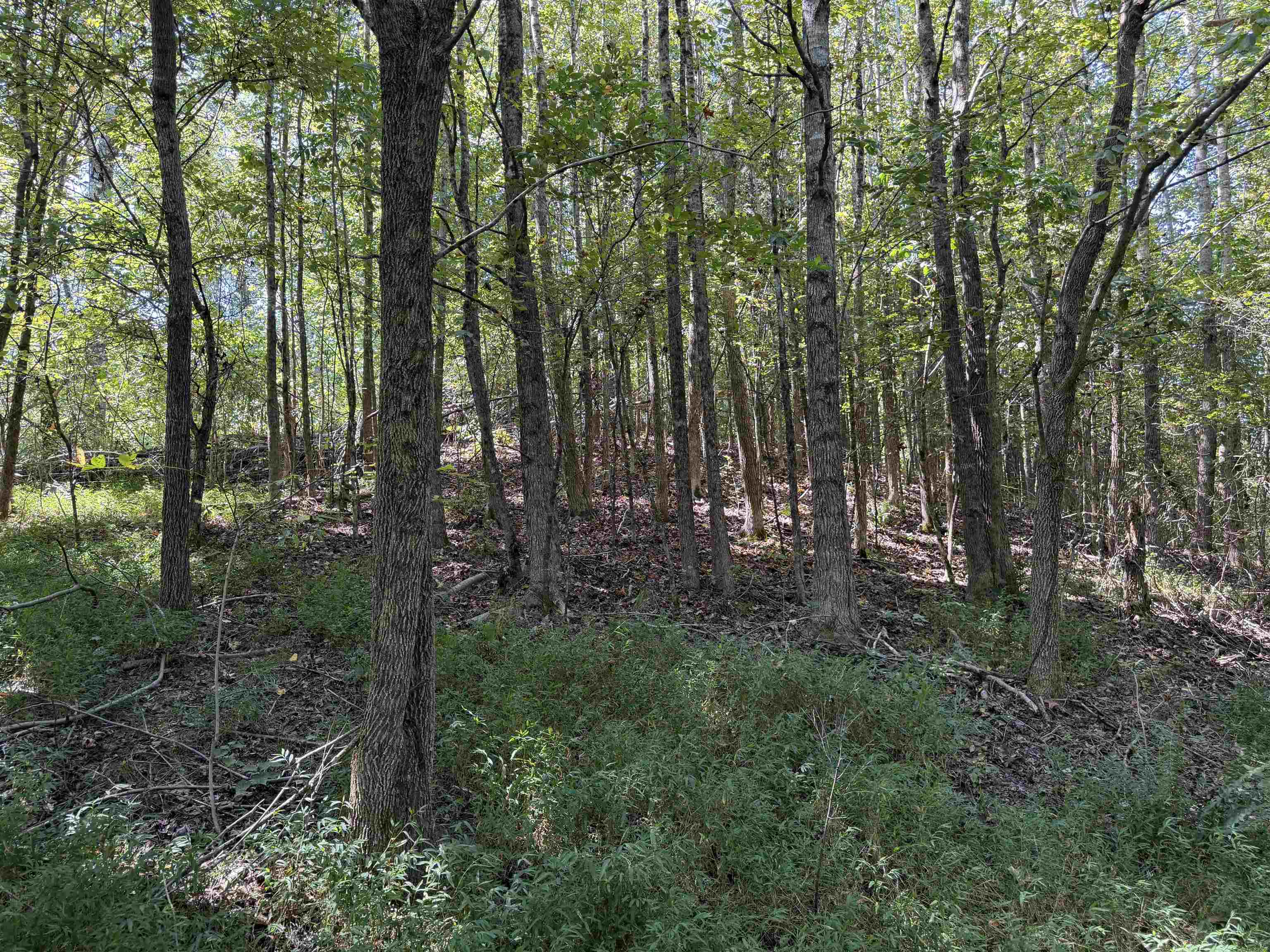 400 421 Hwy Property Photo 33