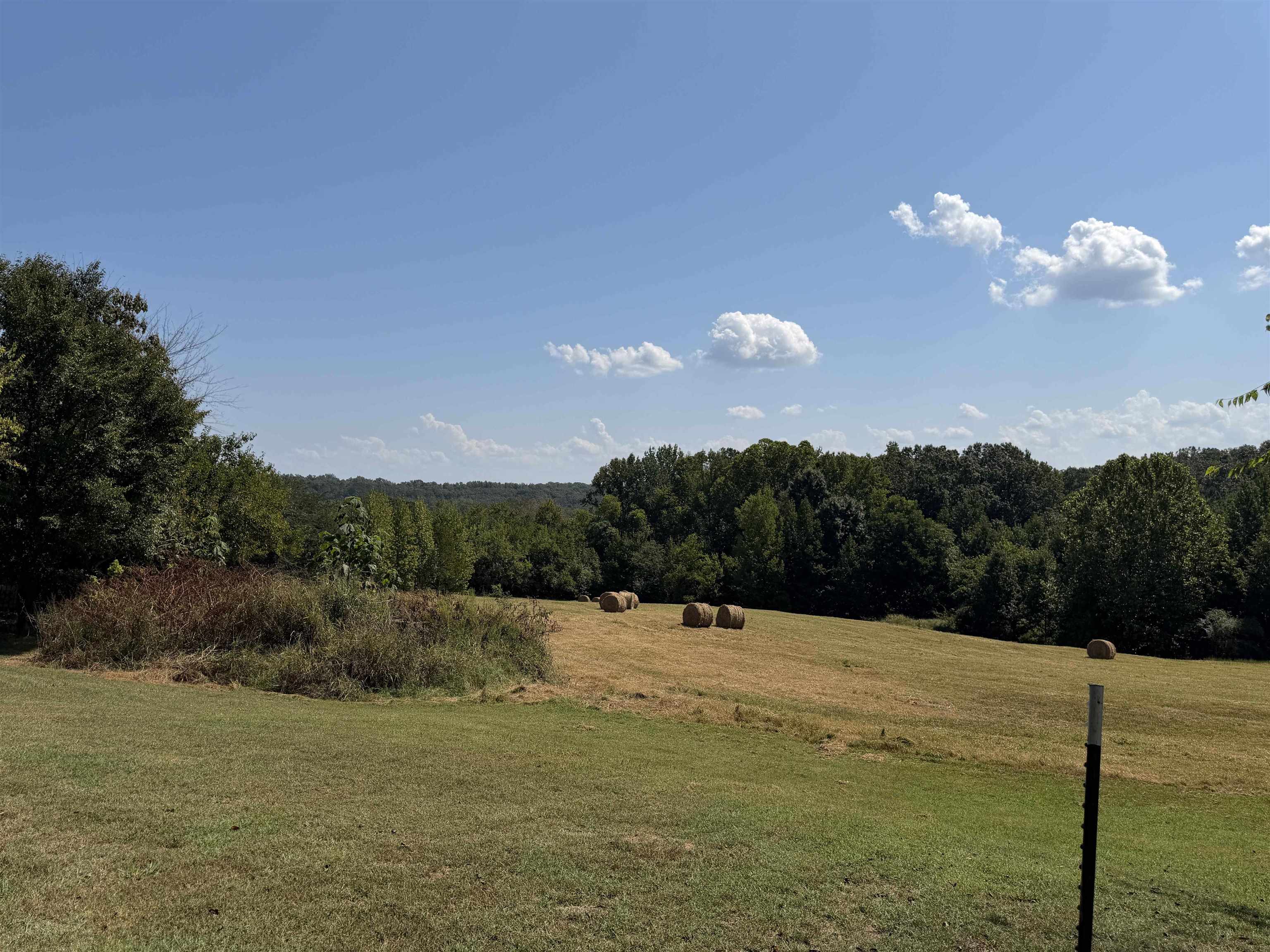 400 421 Hwy Property Photo 34