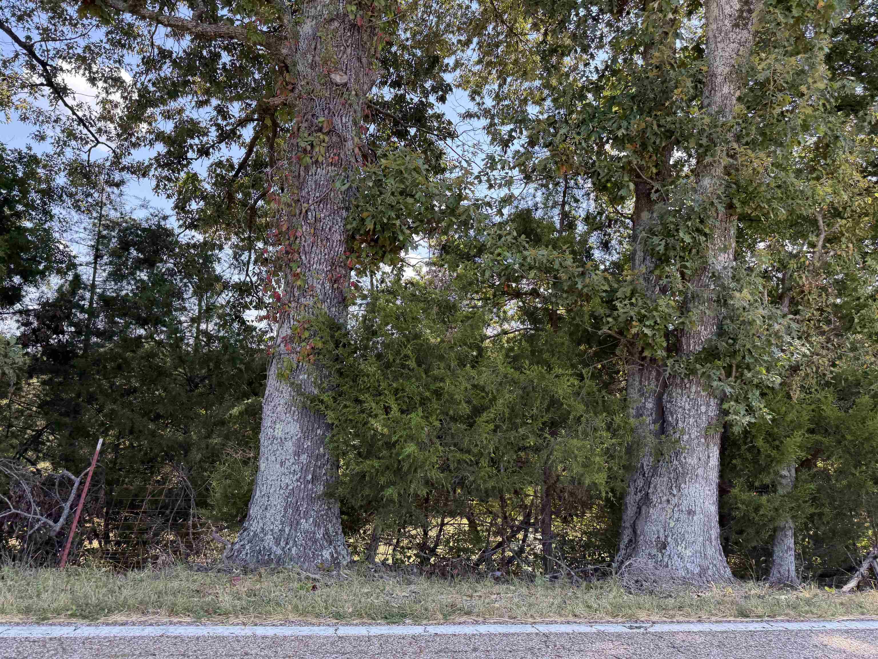 400 421 Hwy Property Photo 35