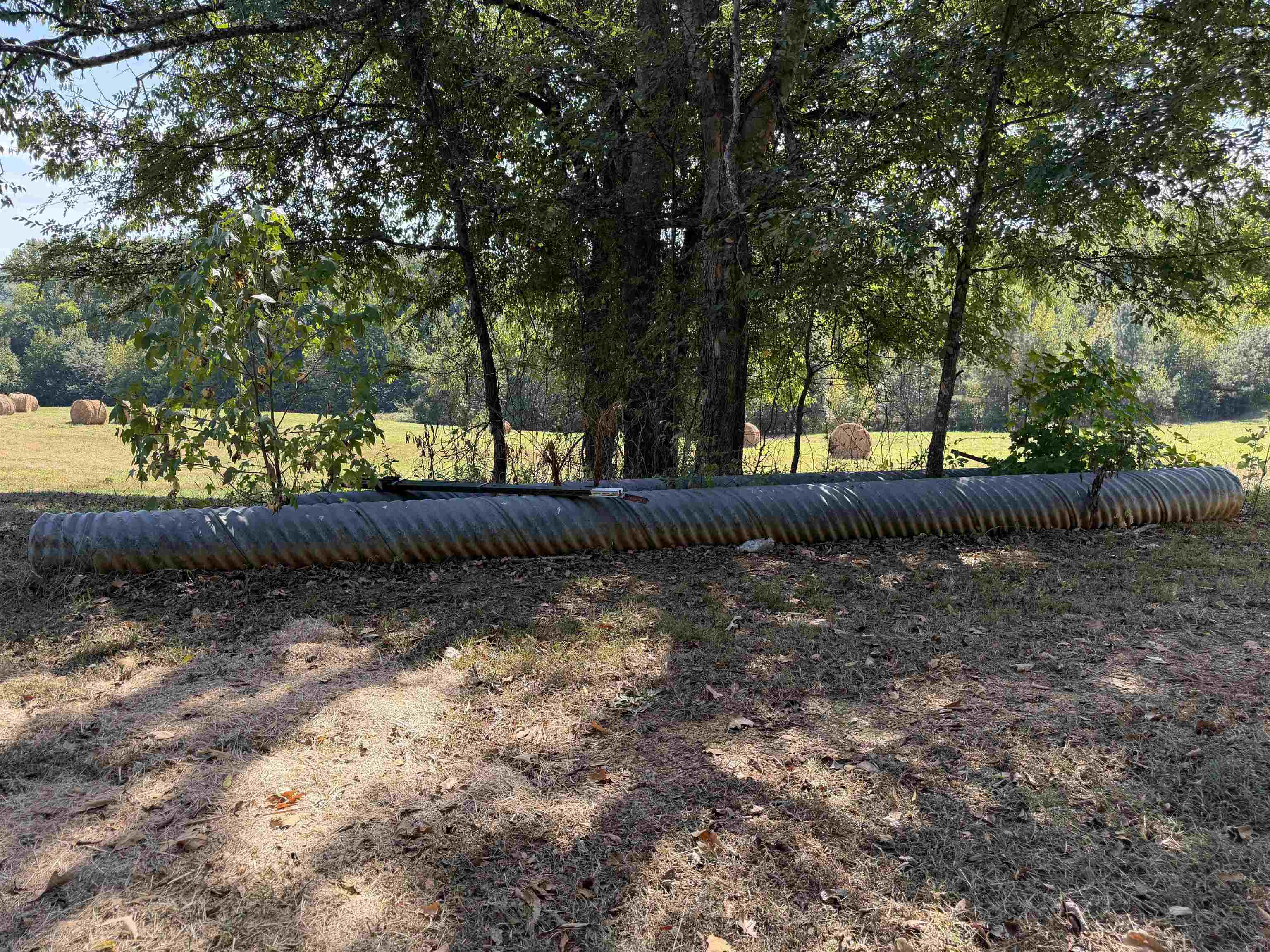 400 421 Hwy Property Photo 37