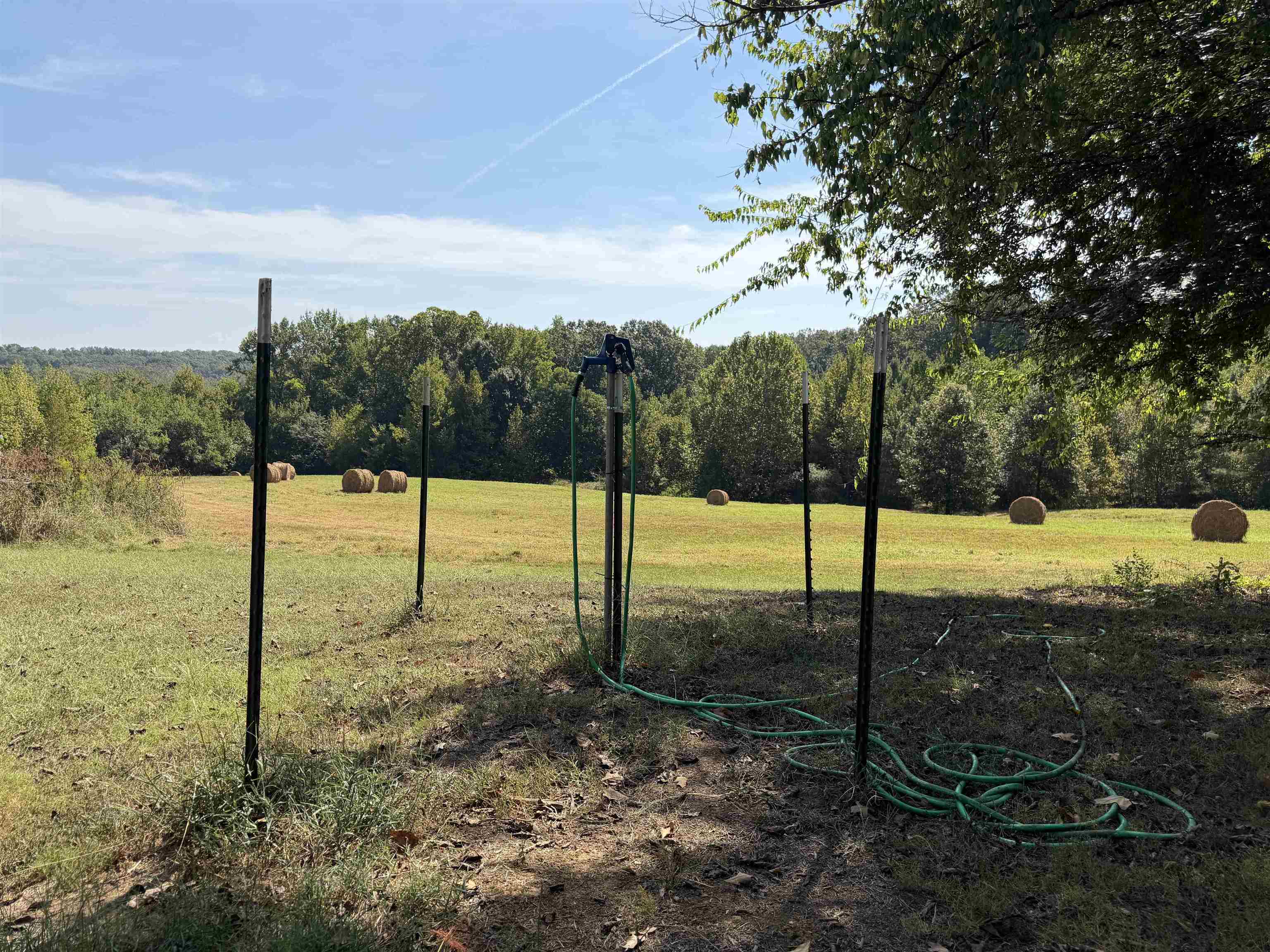400 421 Hwy Property Photo 38