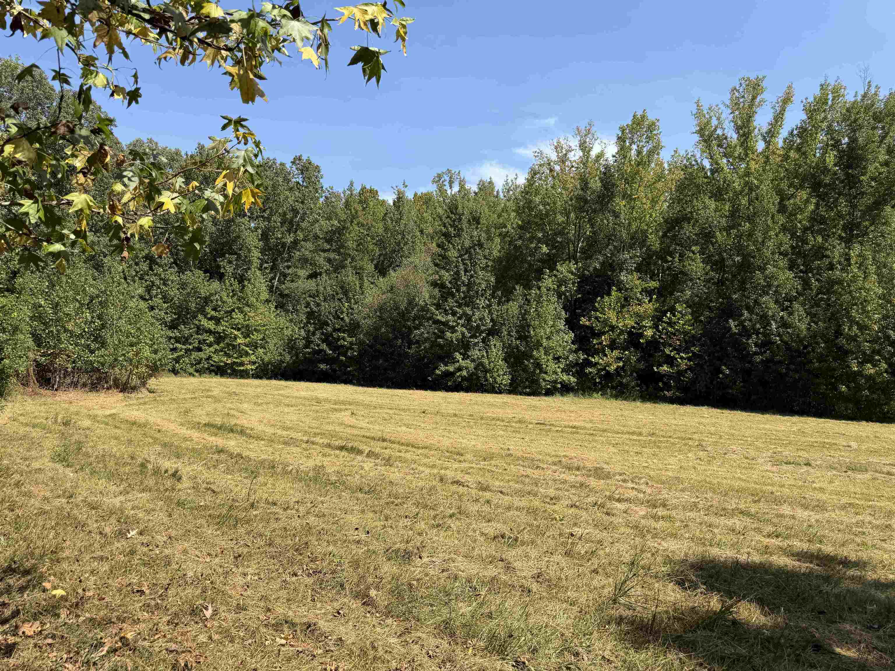 400 421 Hwy Property Photo 40