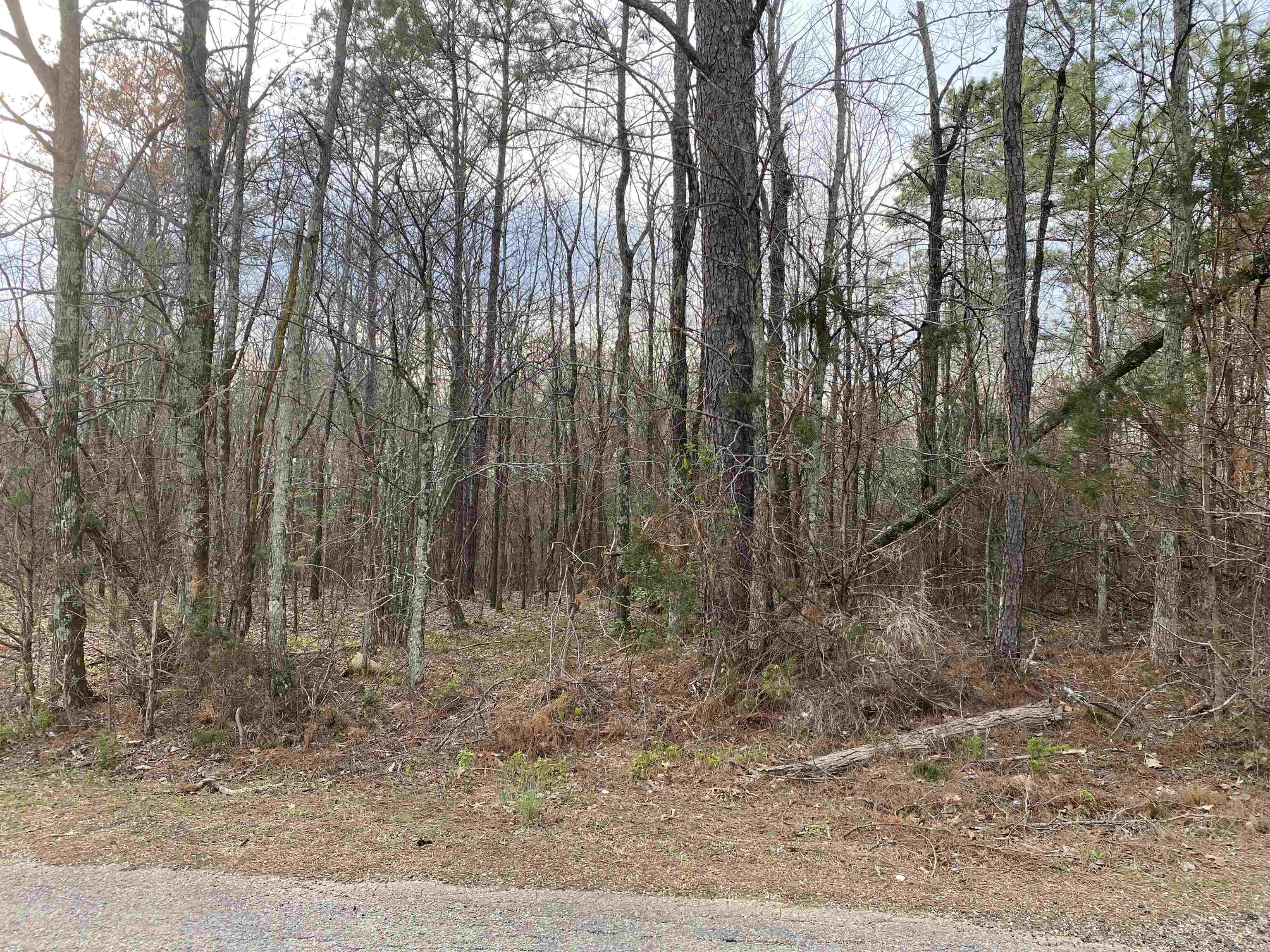 OLD UNION RD Property Photo 1