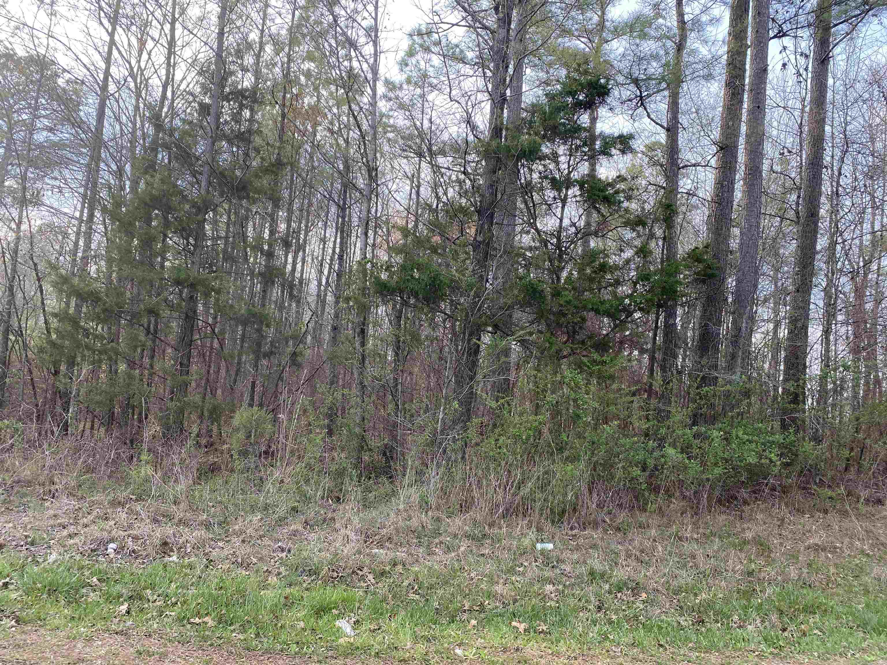 Old Union Rd Property Photo 3