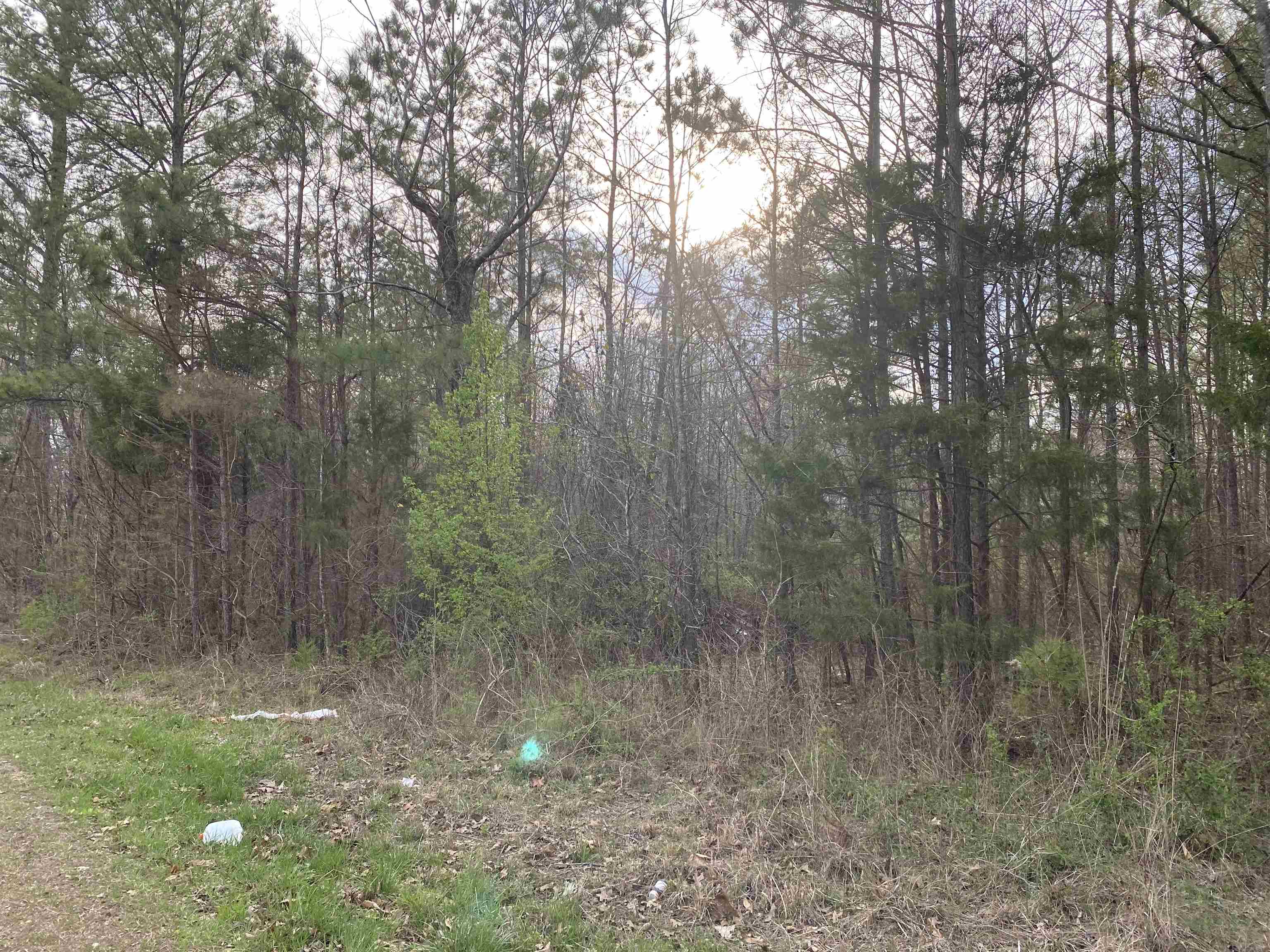 Old Union Rd Property Photo 5