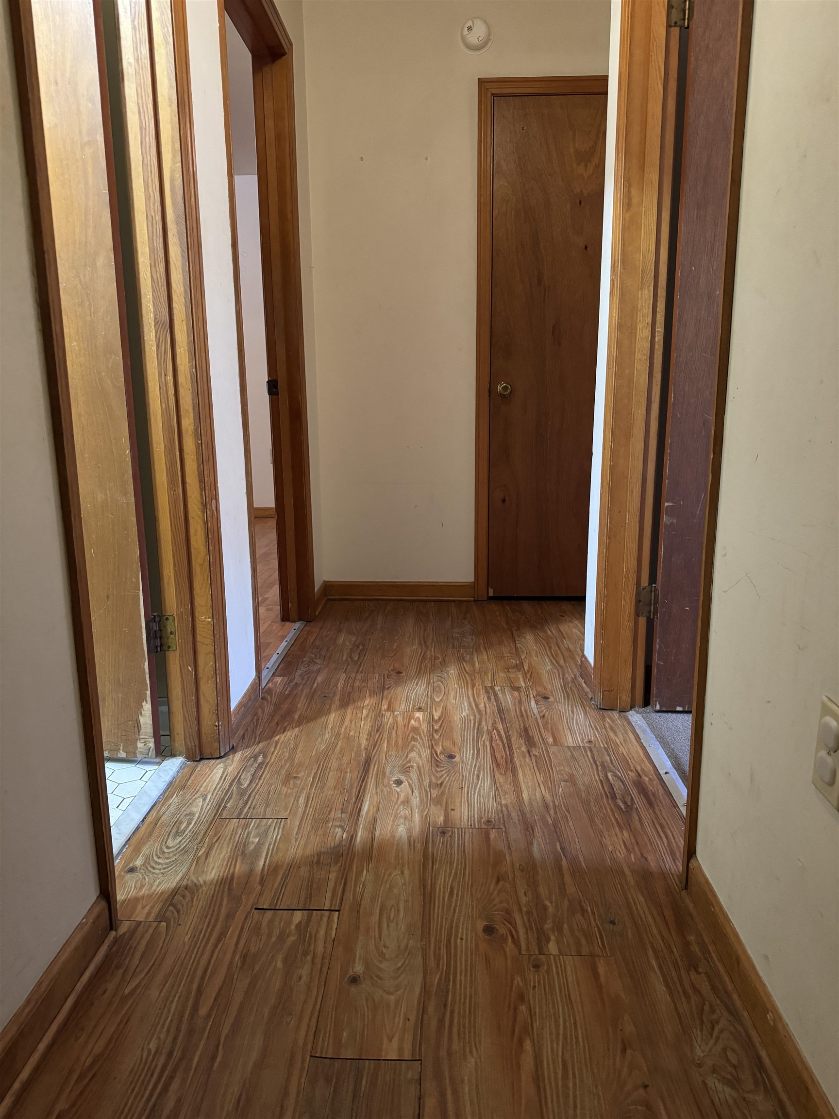 7221 N Juana Dr Property Photo 13