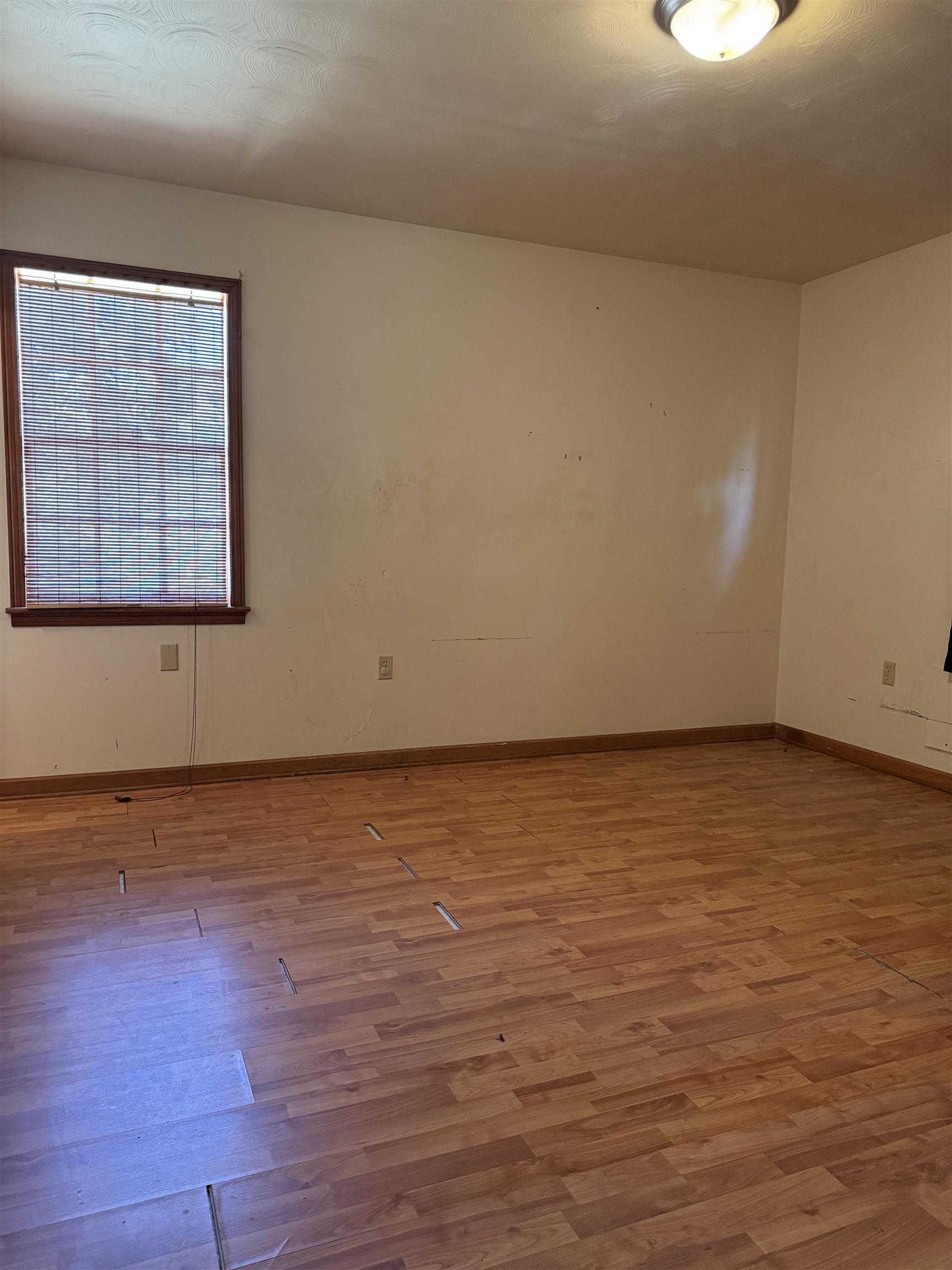 7221 N Juana Dr Property Photo 17