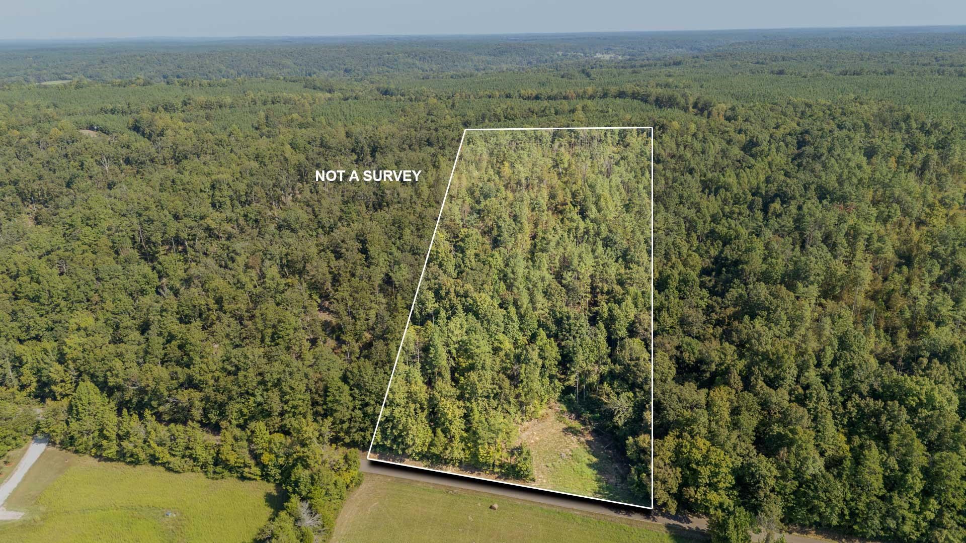 4125 Cherry Chapel Loop Property Photo 2