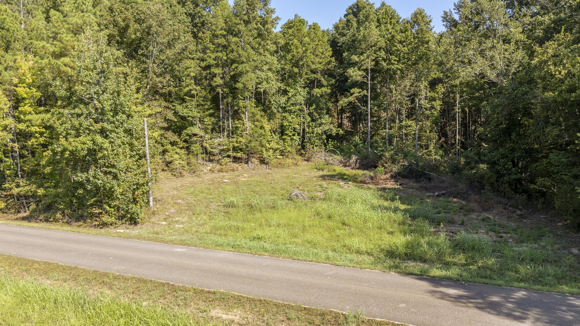 4125 Cherry Chapel Loop Property Photo 3