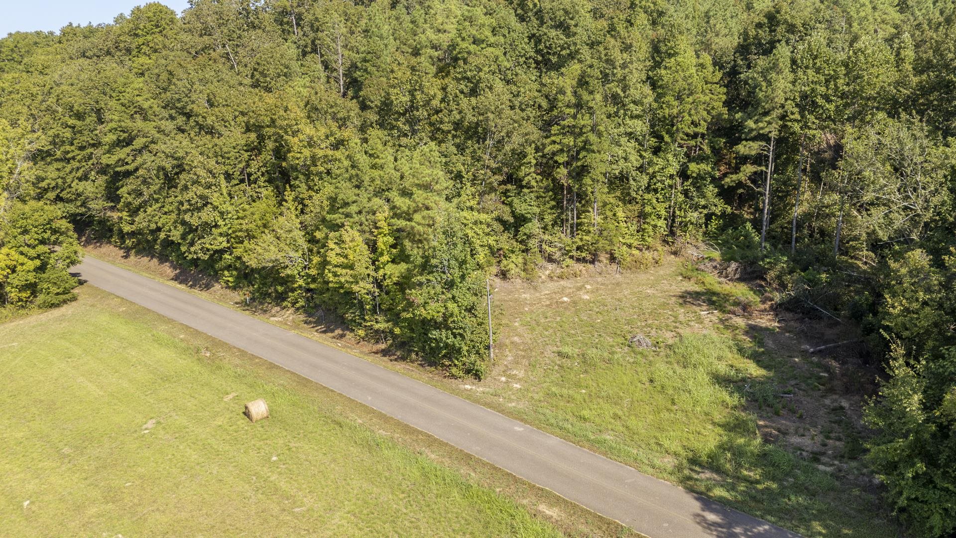 4125 Cherry Chapel Loop Property Photo 4