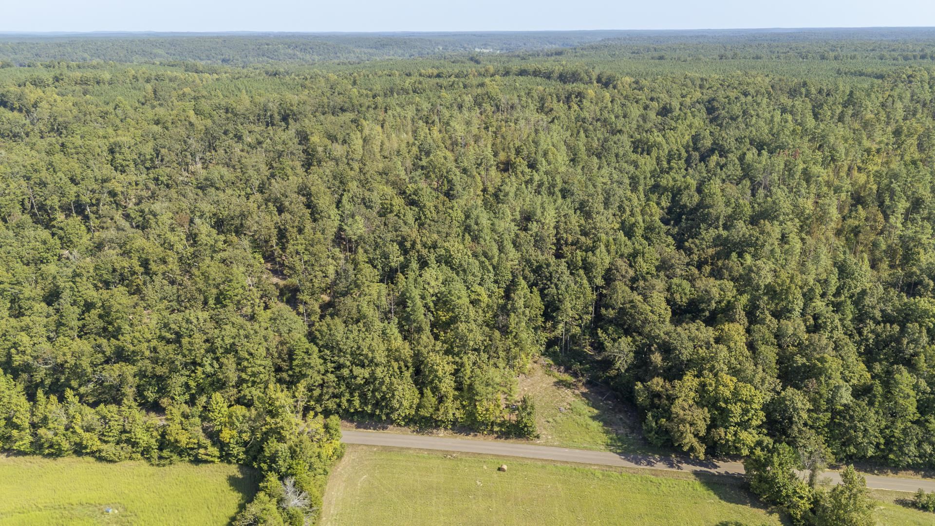 4125 Cherry Chapel Loop Property Photo 5