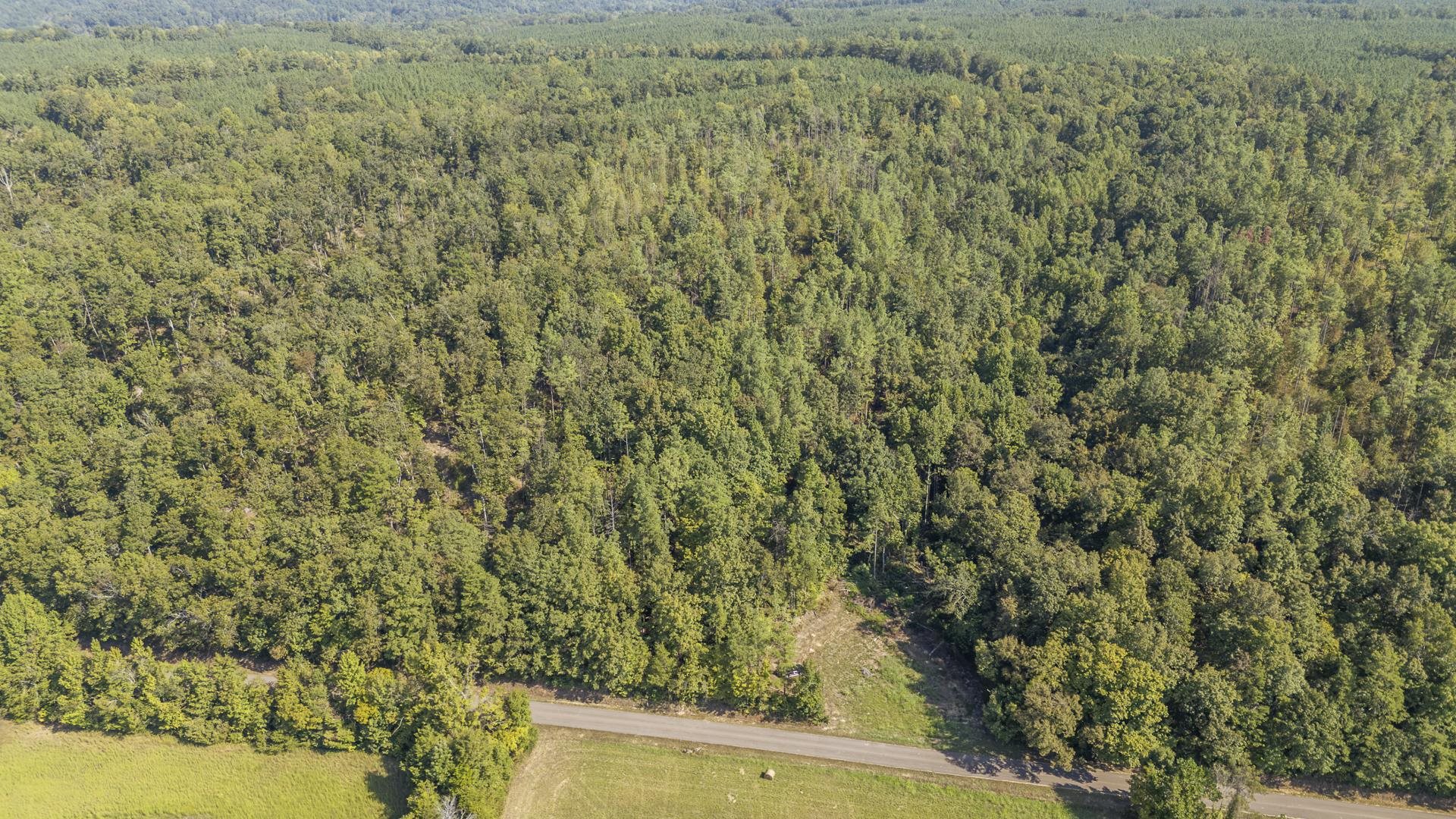 4125 Cherry Chapel Loop Property Photo 6