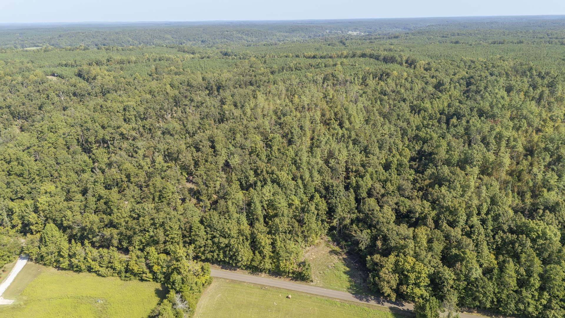 4125 Cherry Chapel Loop Property Photo 7