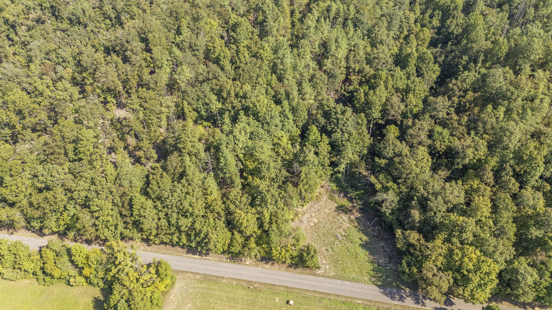 4125 Cherry Chapel Loop Property Photo 8