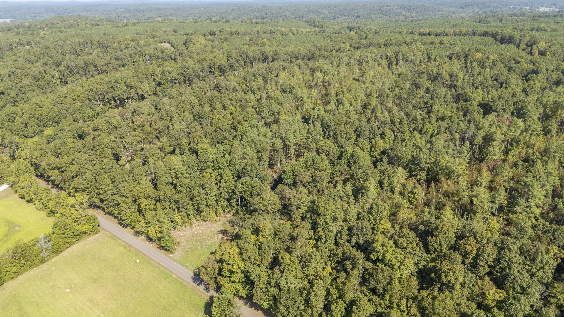 4125 Cherry Chapel Loop Property Photo 9