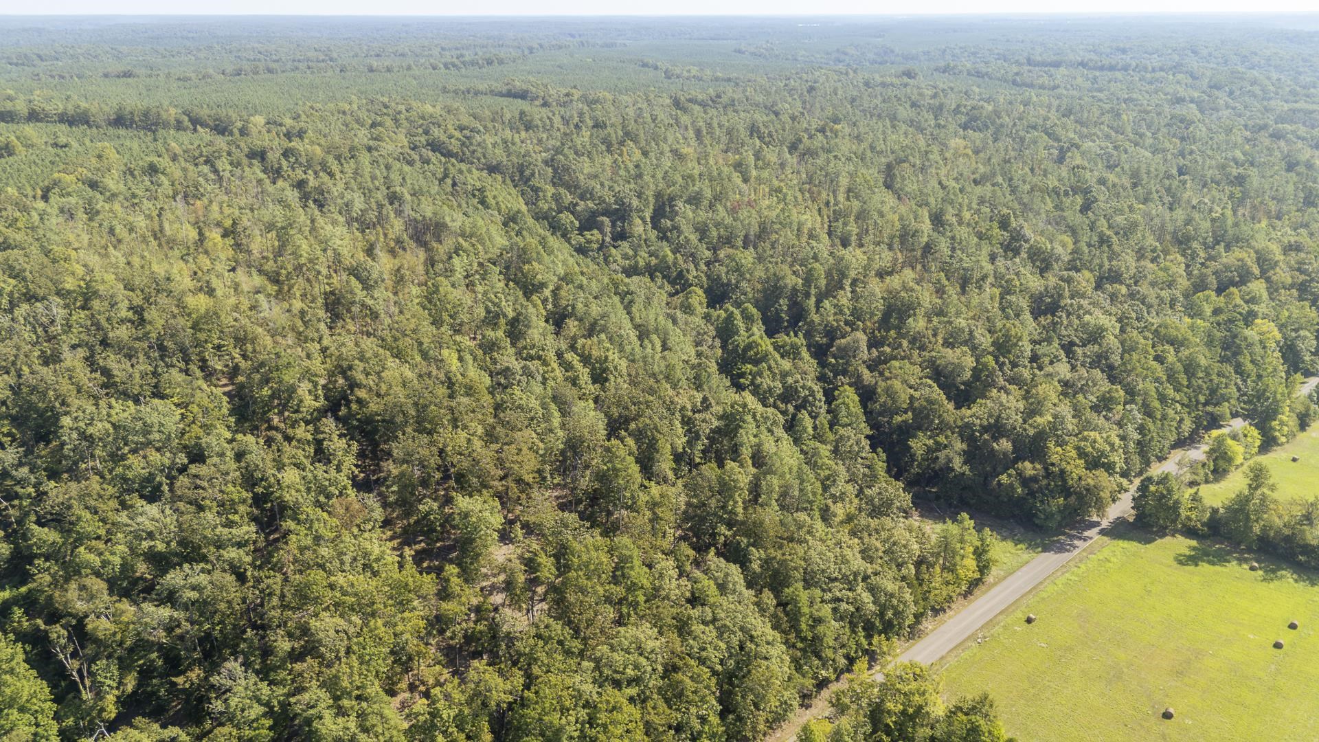4125 Cherry Chapel Loop Property Photo 10