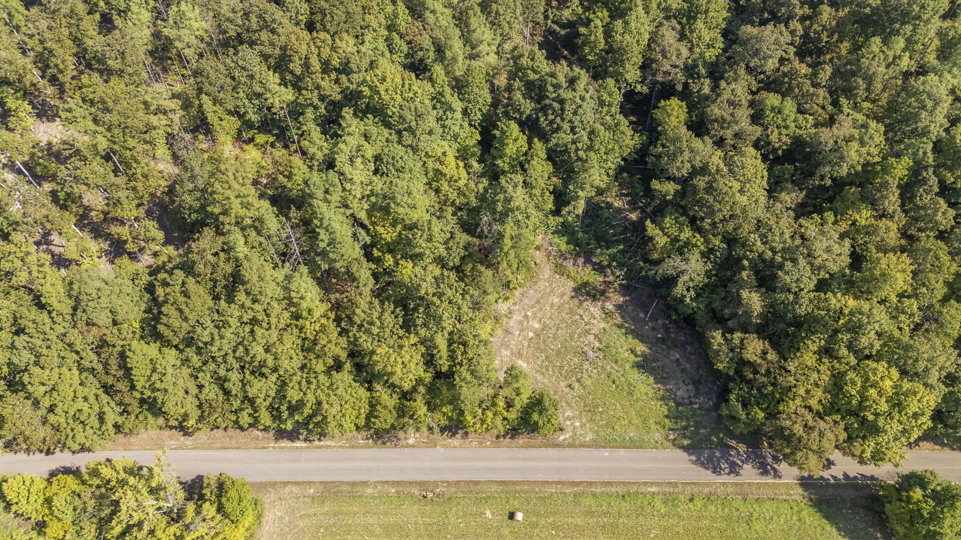 4125 Cherry Chapel Loop Property Photo 11