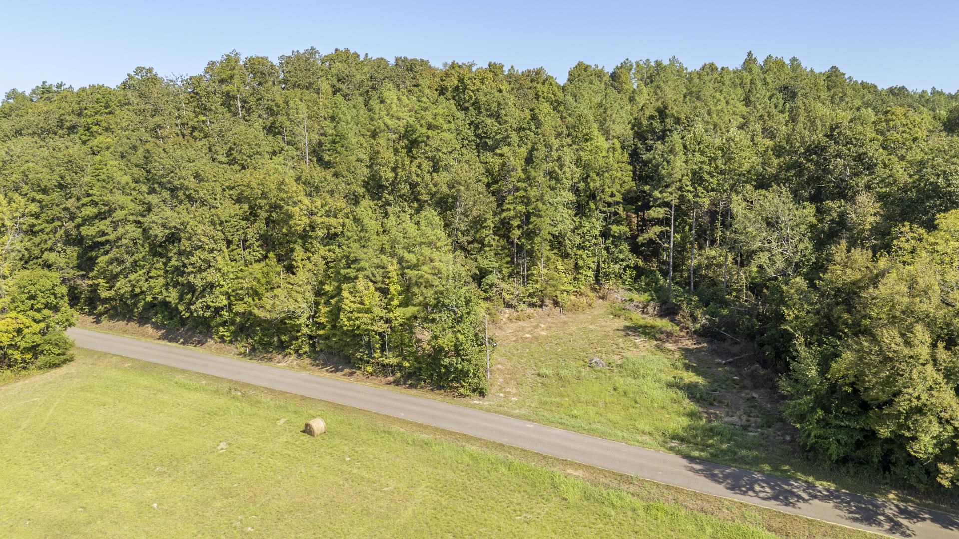 4125 Cherry Chapel Loop Property Photo 12