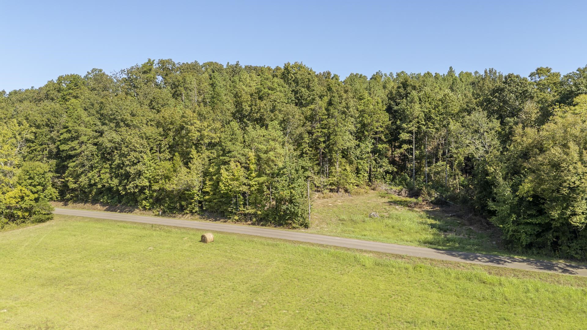 4125 Cherry Chapel Loop Property Photo 13
