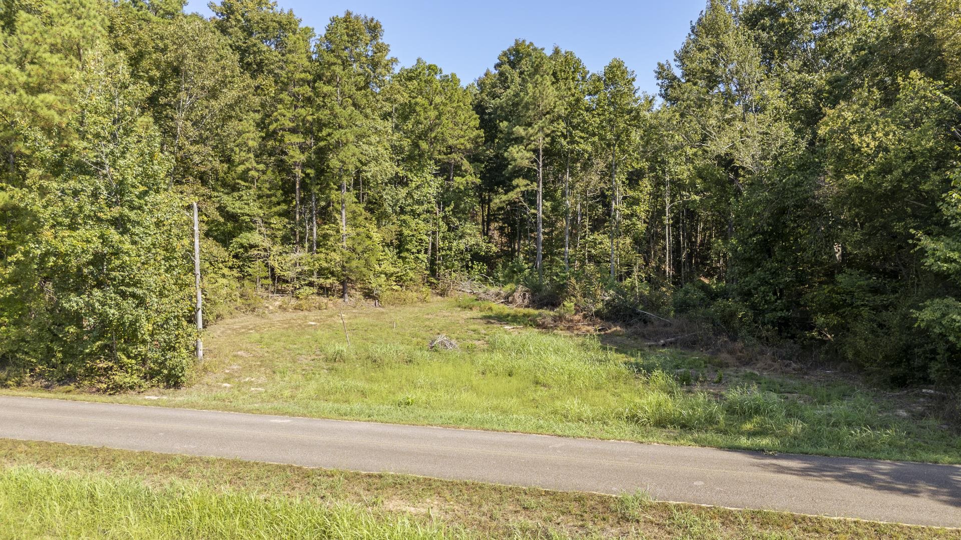 4125 Cherry Chapel Loop Property Photo 14