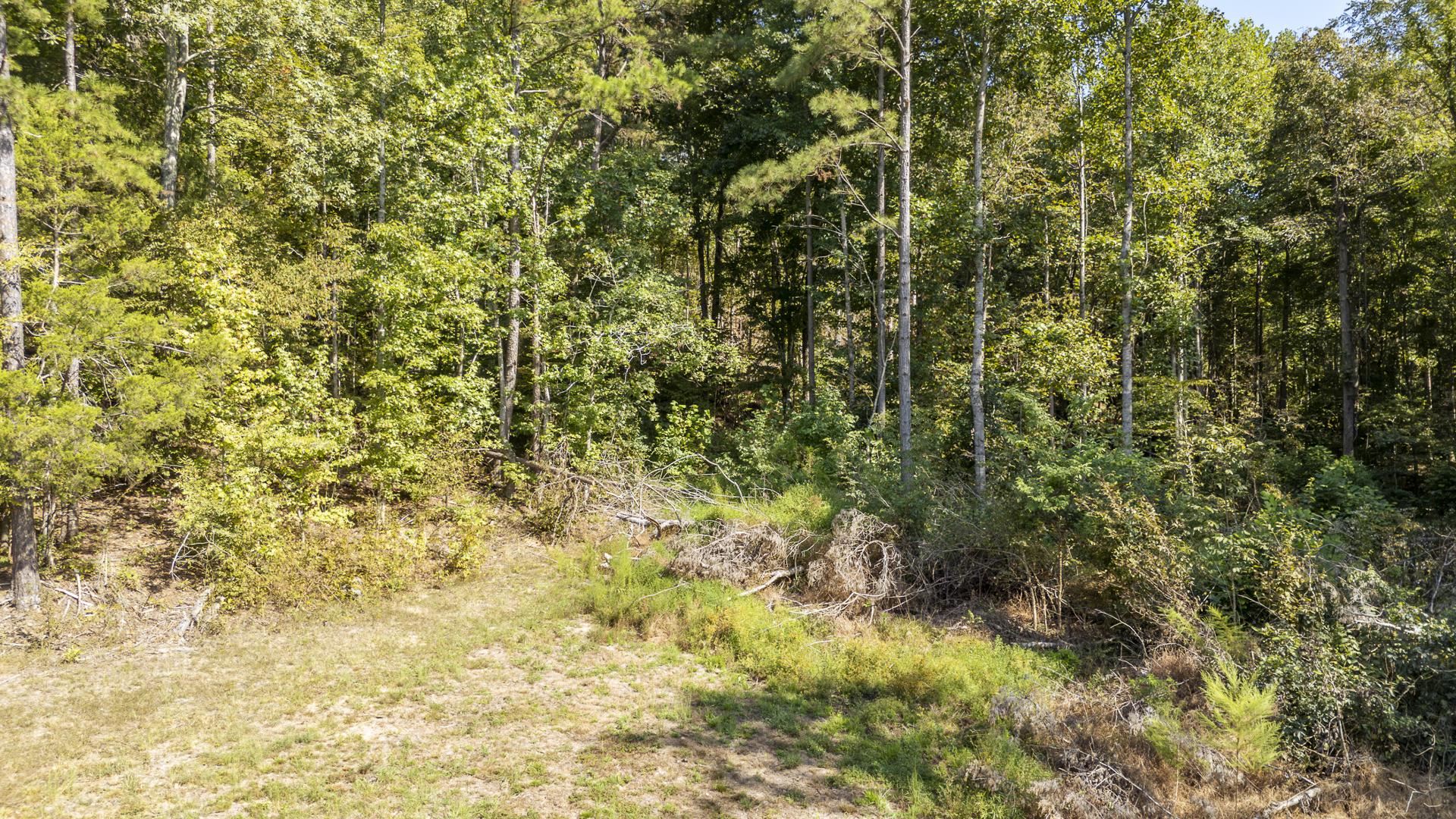 4125 Cherry Chapel Loop Property Photo 15
