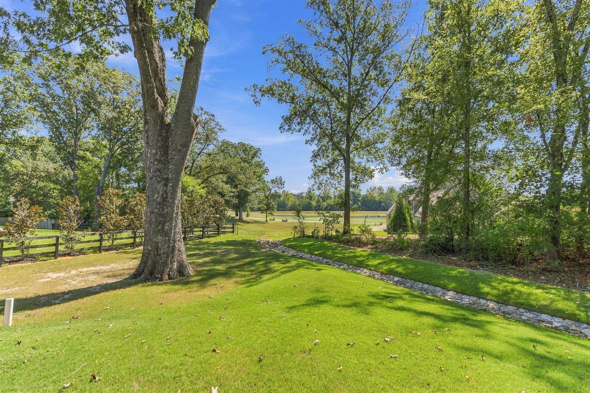 60 Dunn Ridge Cv Property Photo 29