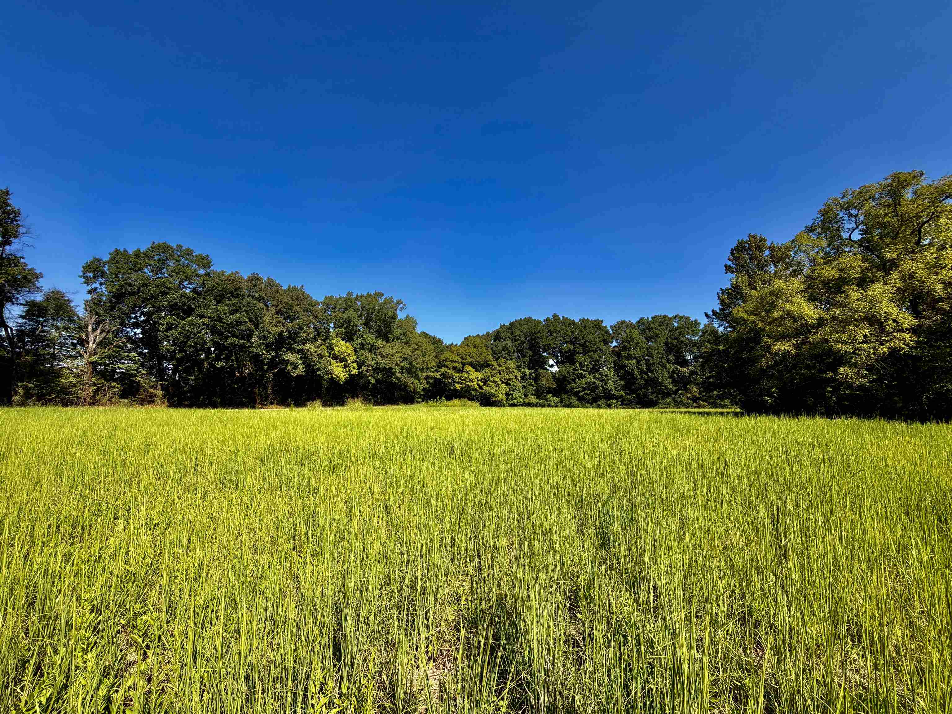21.10 Acres Terry Rd Property Photo 1
