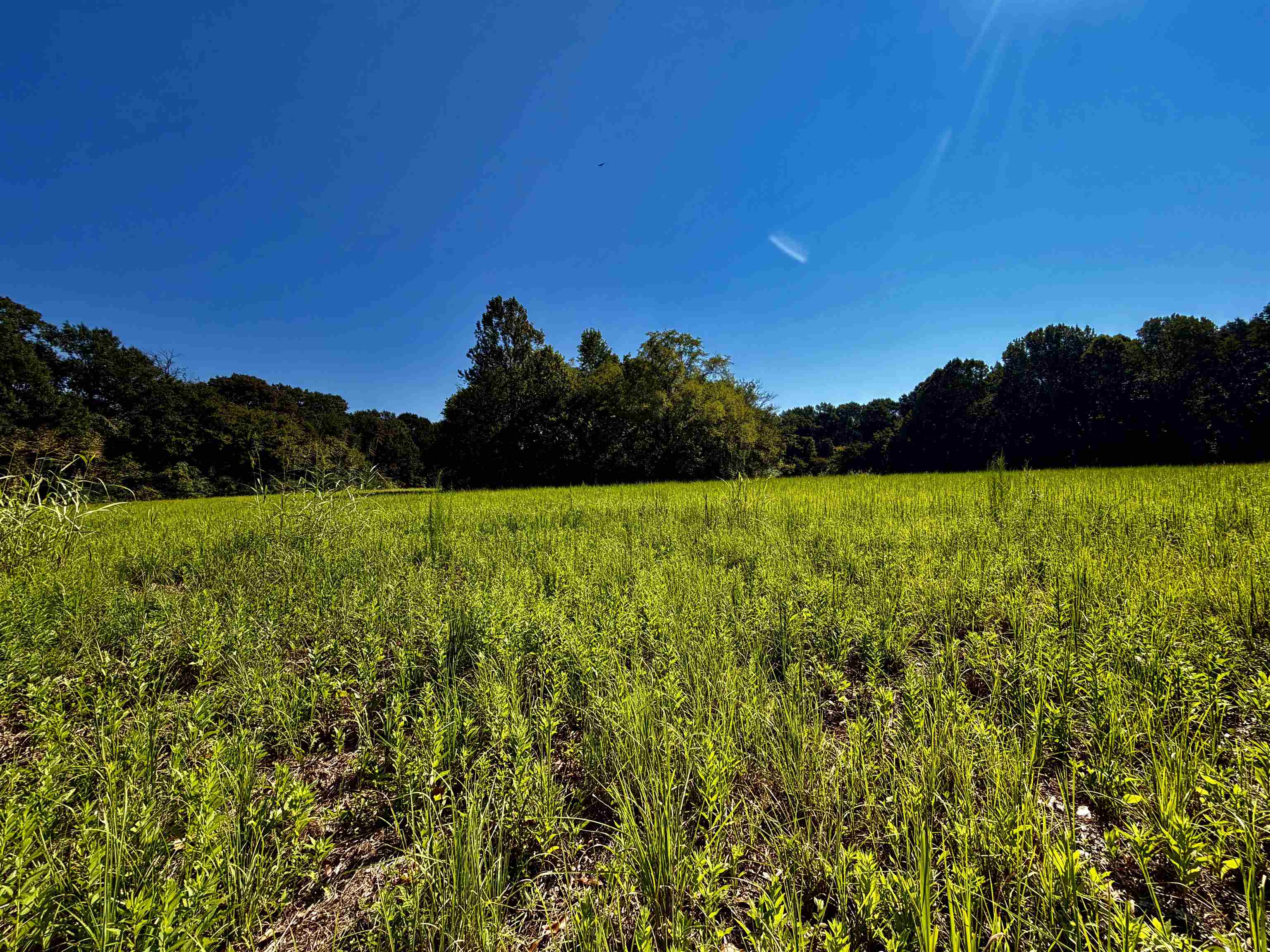 21.10 Acres Terry Rd Property Photo 2