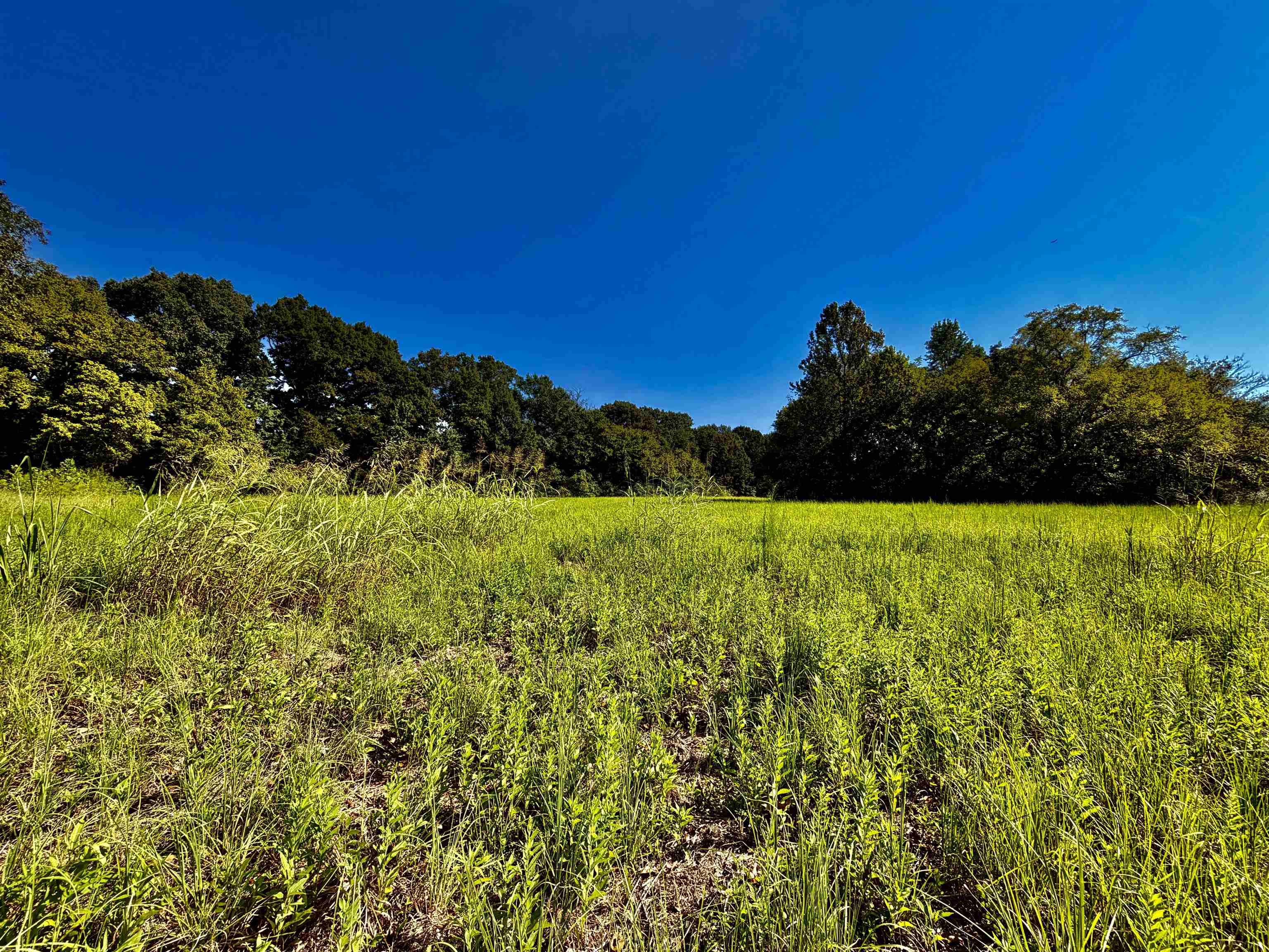 21.10 Acres Terry Rd Property Photo 3